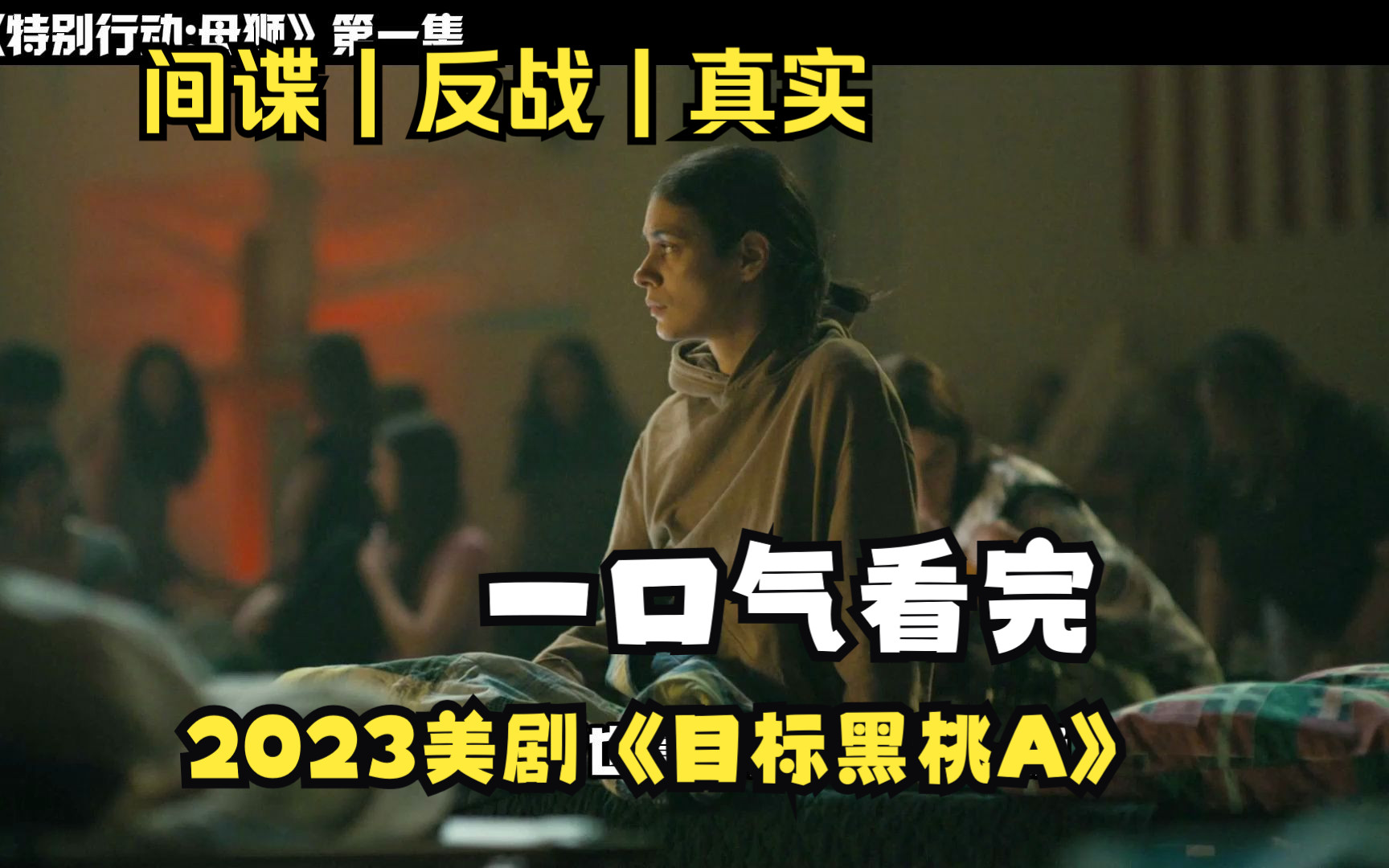2023最新美剧《特别行动母狮》一口气看完整个过程非常精彩的故事反战