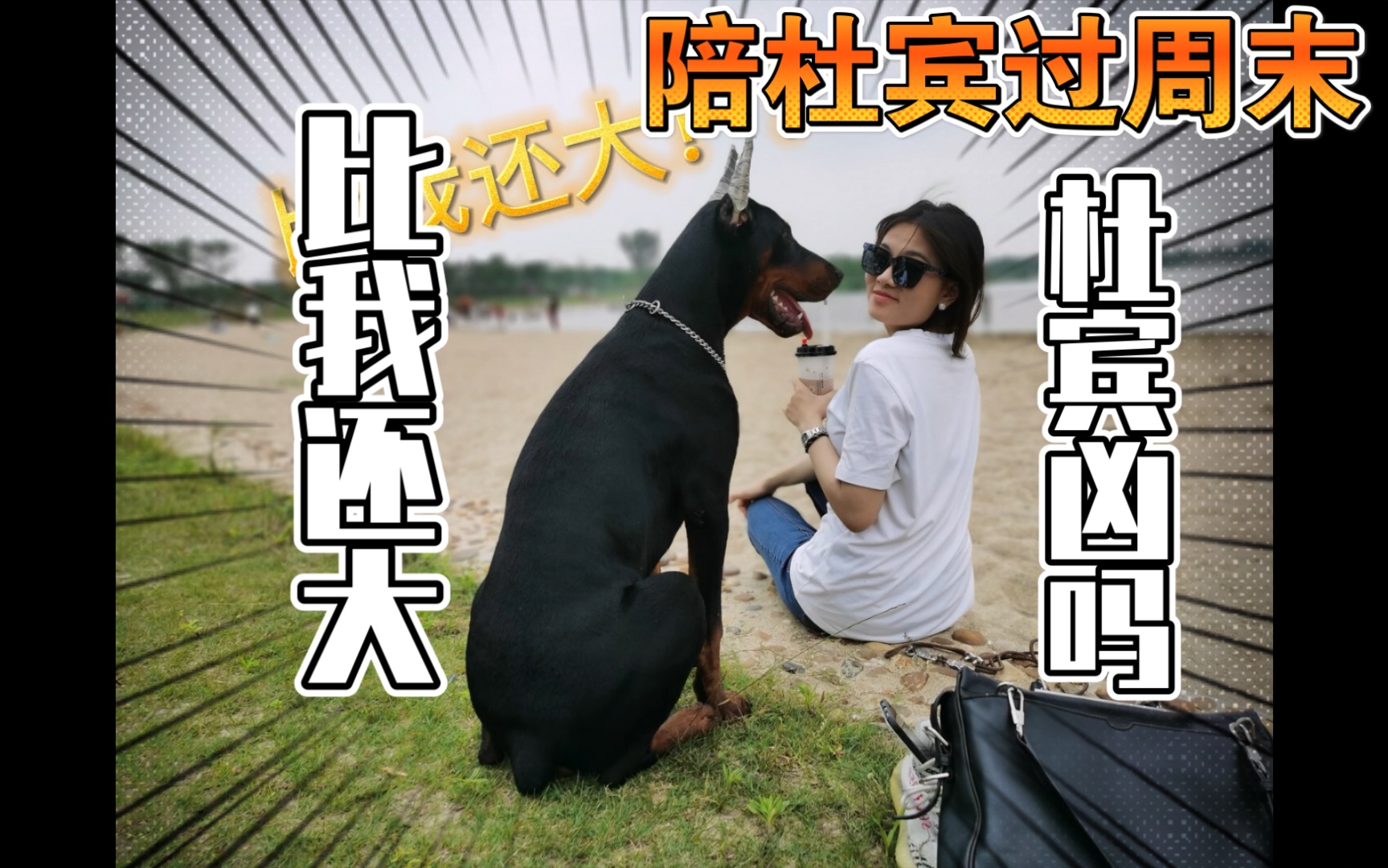 【杜宾上床睡觉｜陪杜宾过周末】比20岁女生还大的杜宾凶不凶？｜养杜宾你需要知道的｜德系杜宾｜可爱日常｜护卫犬｜vlog｜卡卡｜野餐｜低配｜海边沙滩｜搞笑生活