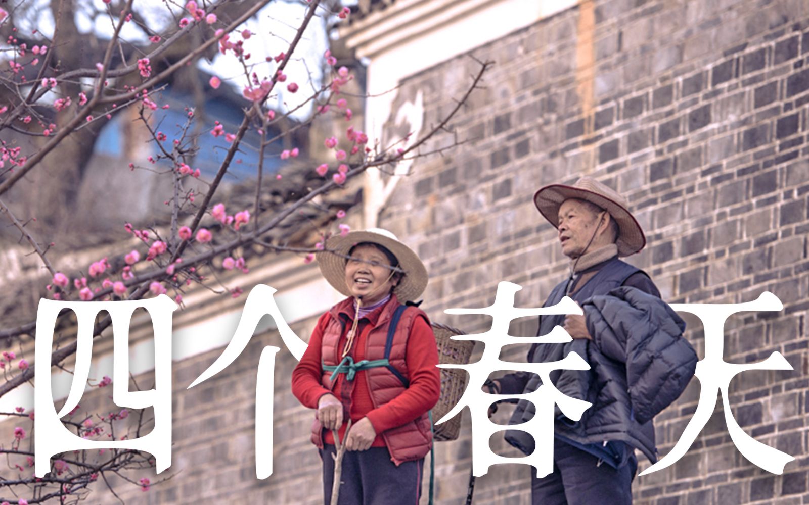 8.8分！热泪盈眶！献给春天、父母与新年的赞歌《四个春天》