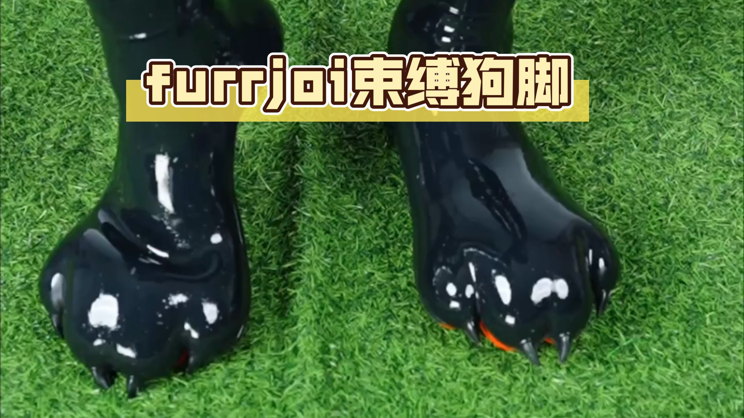 沉浸式体验束缚狗脚