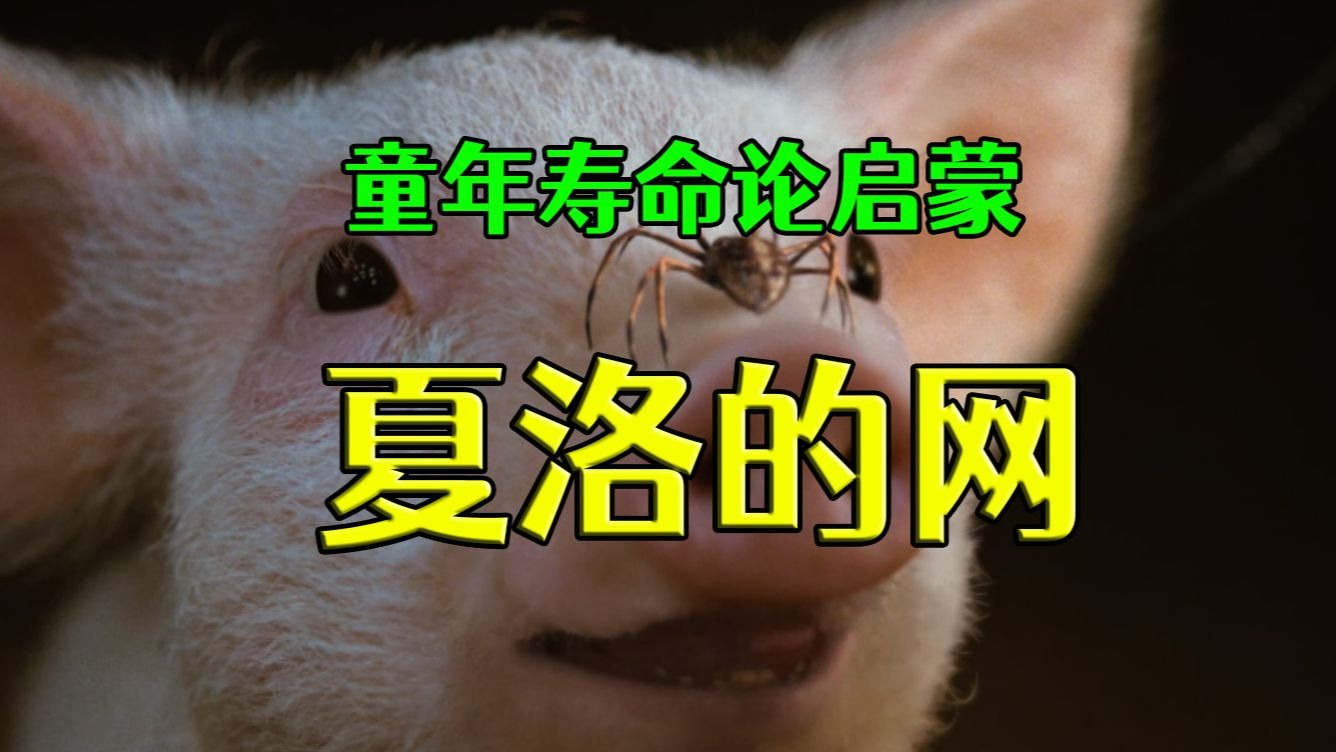 【夏洛的网】童年的寿命论启蒙