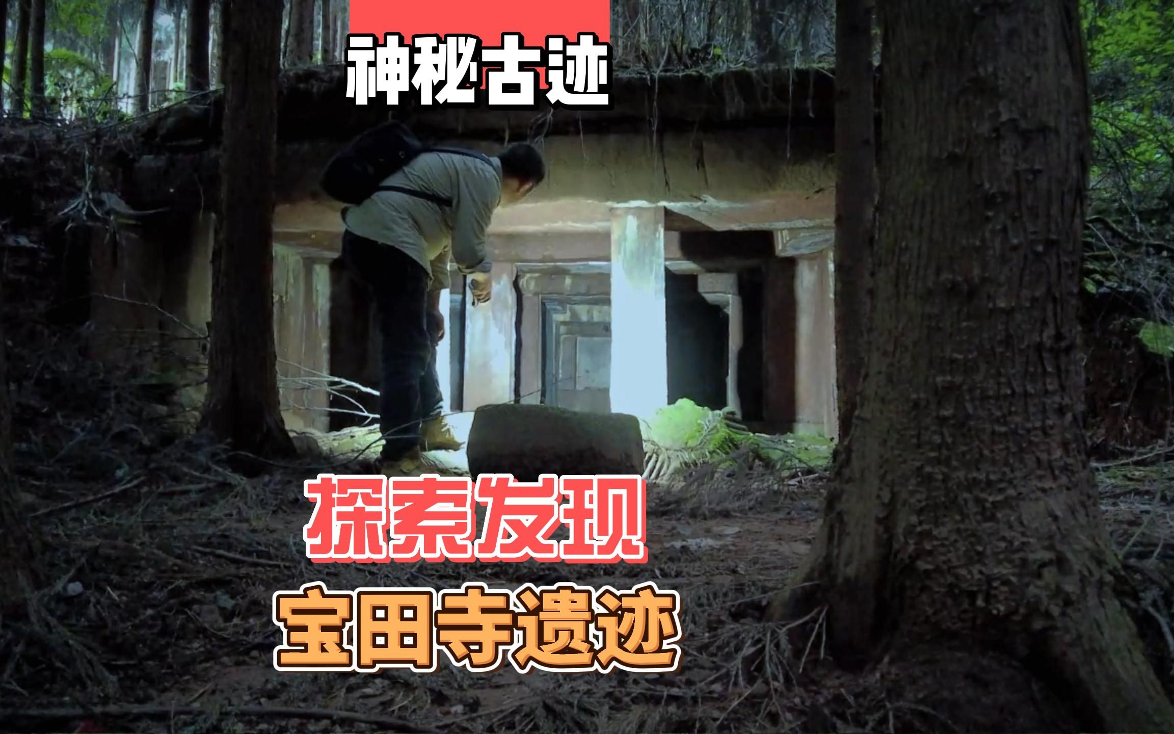 探索神秘古迹（三），遮天蔽日的森林里面古人遗骸触目惊心。