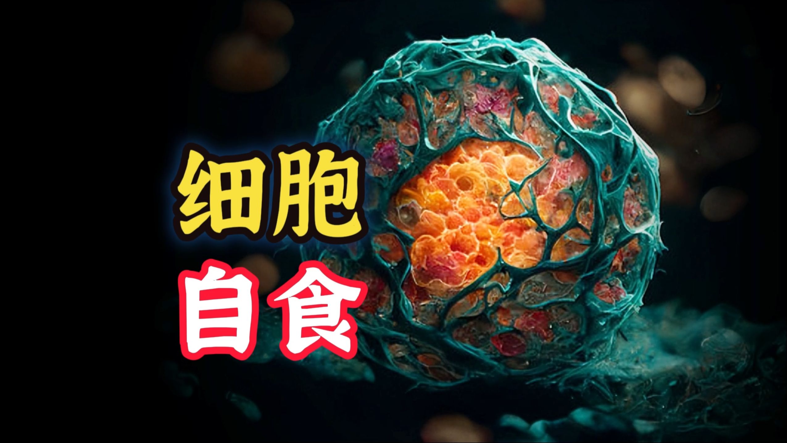 [细胞秘事16] 面对饥饿，她甚至会吃掉自己的身体！