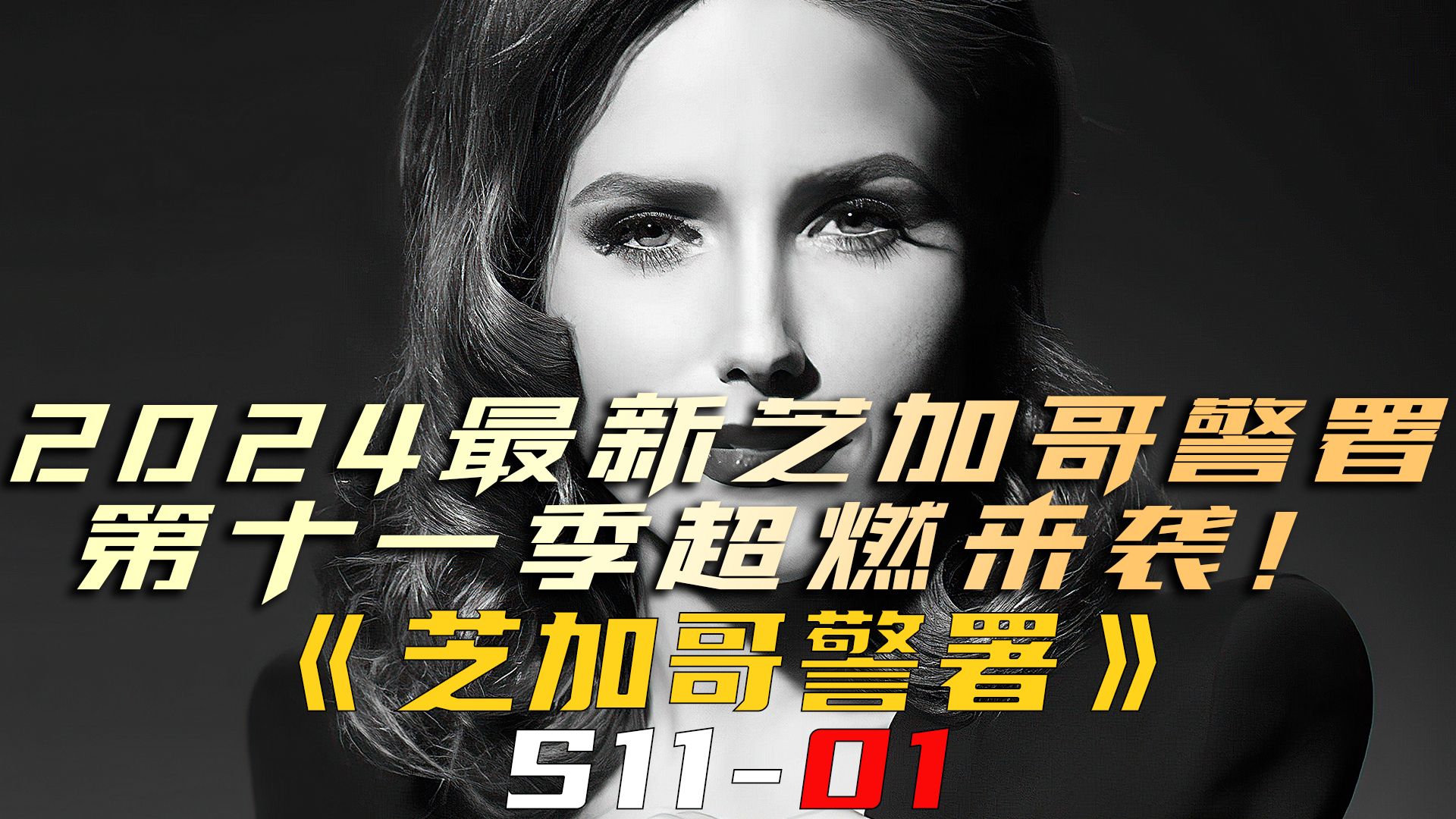 2024年最新《芝加哥警署》第十一季上线，超燃来袭！