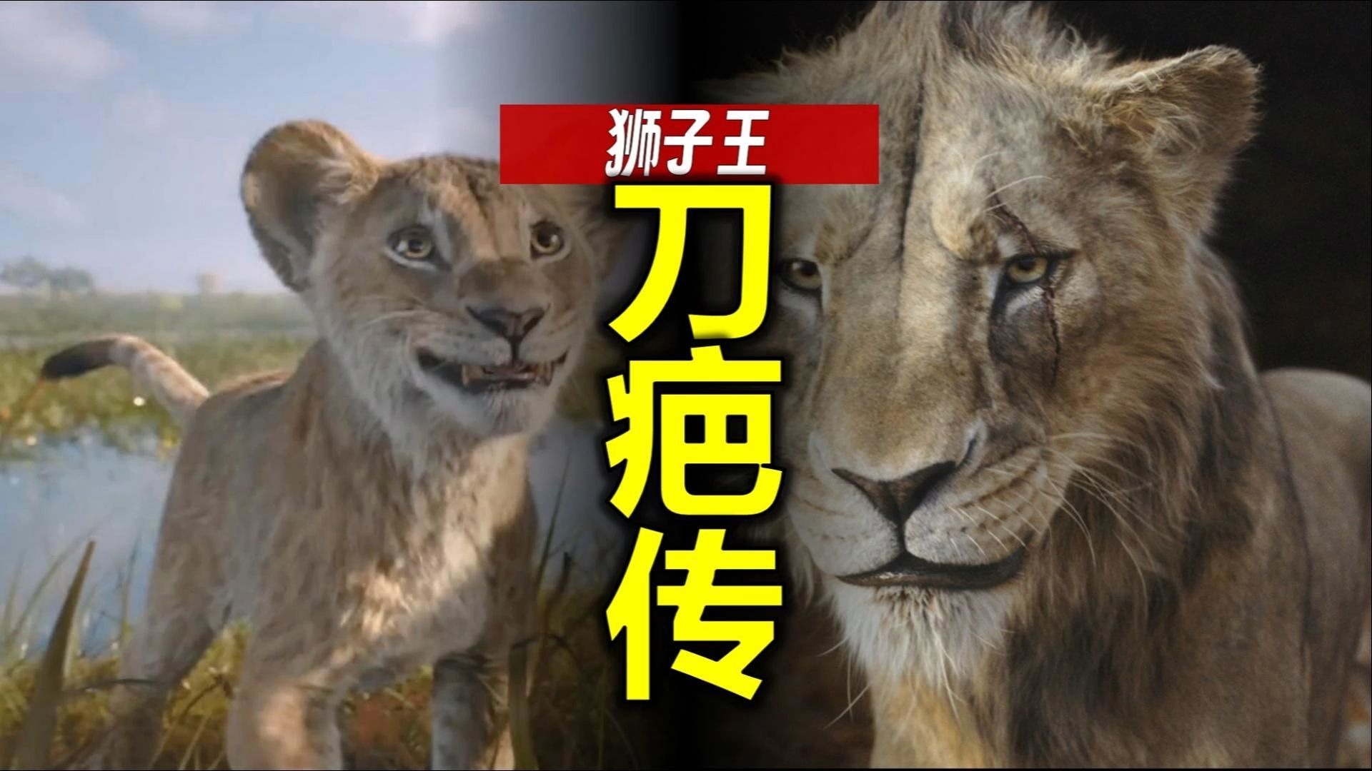 99%人没看懂的狮子王，塔卡变成刀疤没让人讨厌，反而让人心疼。《狮子王：木法沙传奇》