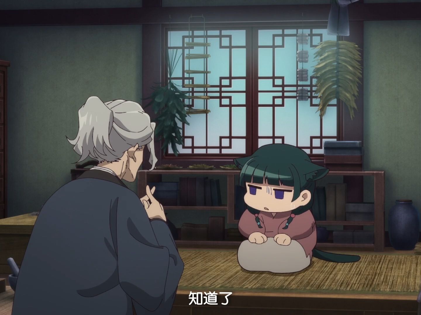 【药屋少女的呢喃】养父：这猫猫生性好奇心旺盛 让她碰到尸体的话绝对会出事的