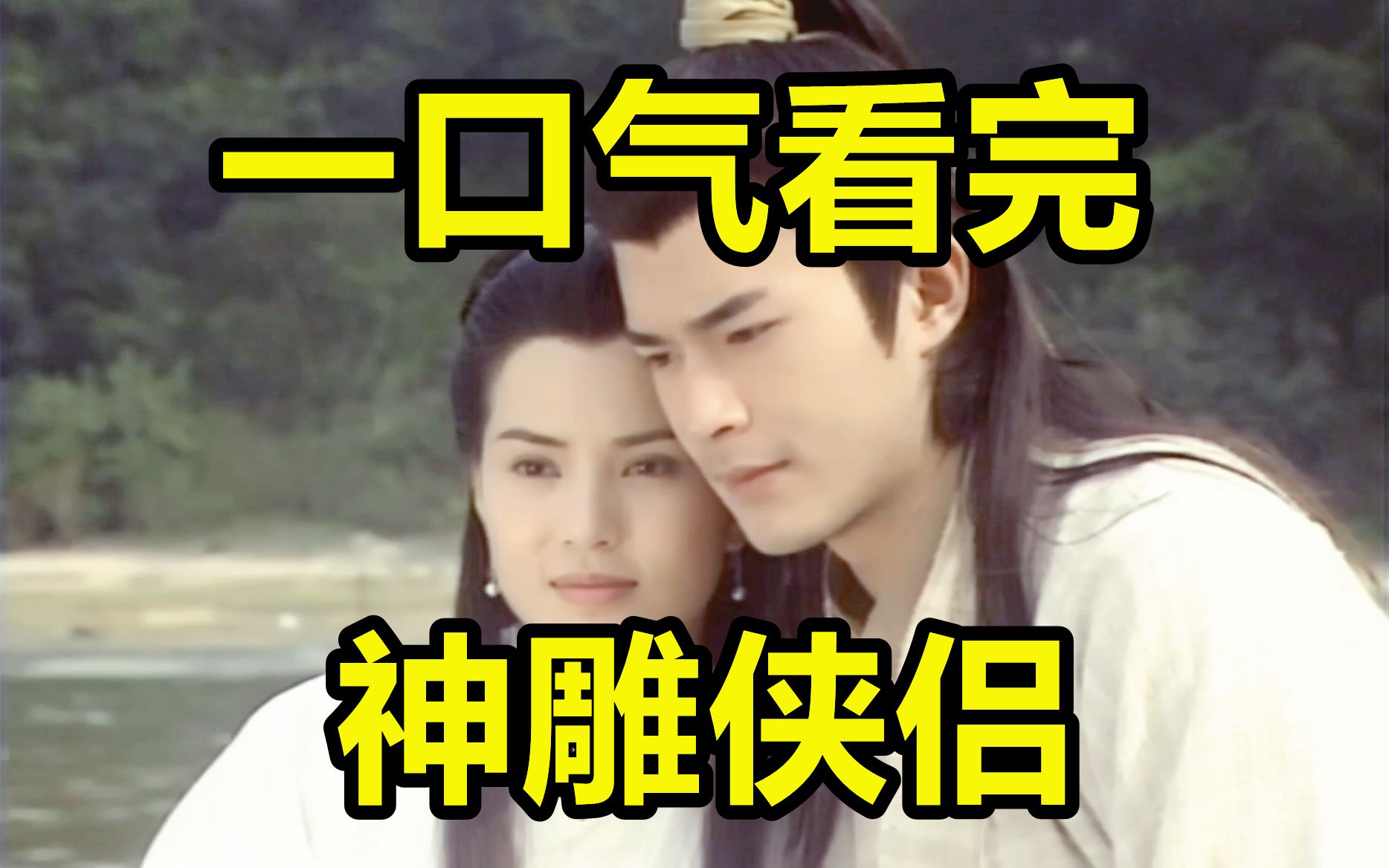 一口气看完，神雕侠侣！爆肝2W字！一见杨过误终身