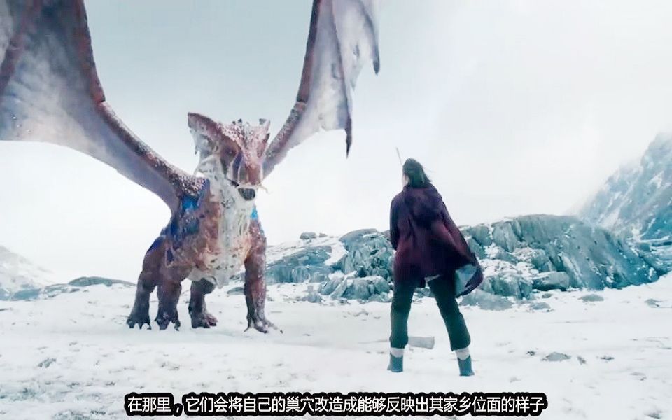 DND龙与地下城(泛DND世界观)位面龙生态考证 龙族生态 巨龙考察 冥界龙/狂欢龙浩劫龙/炼狱龙/天界龙/深渊龙裂隙龙 PF开拓者龙类
