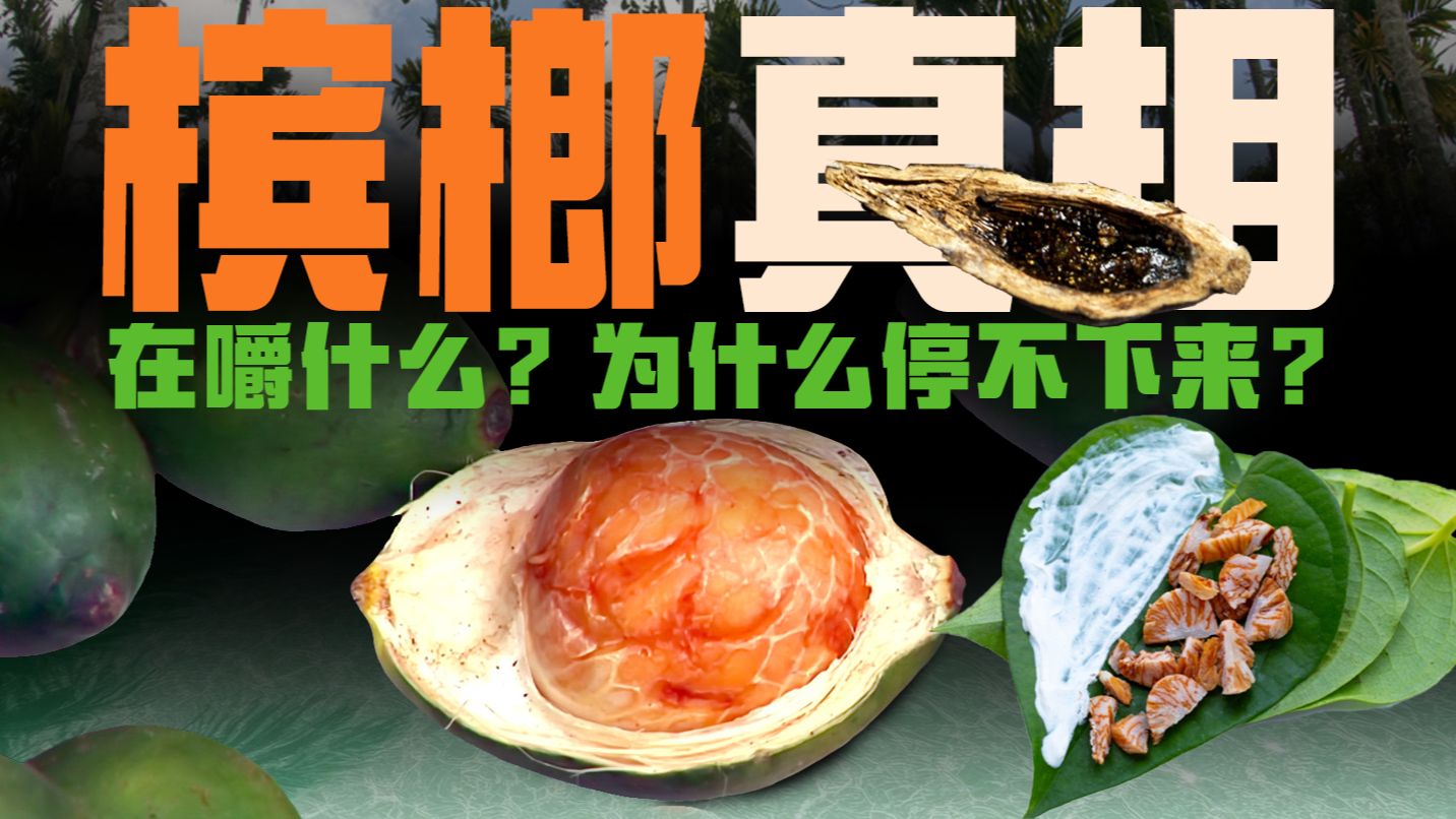 上头、成瘾与口腔癌！一口气把嚼槟榔和它的危害讲清楚【药不能停6】