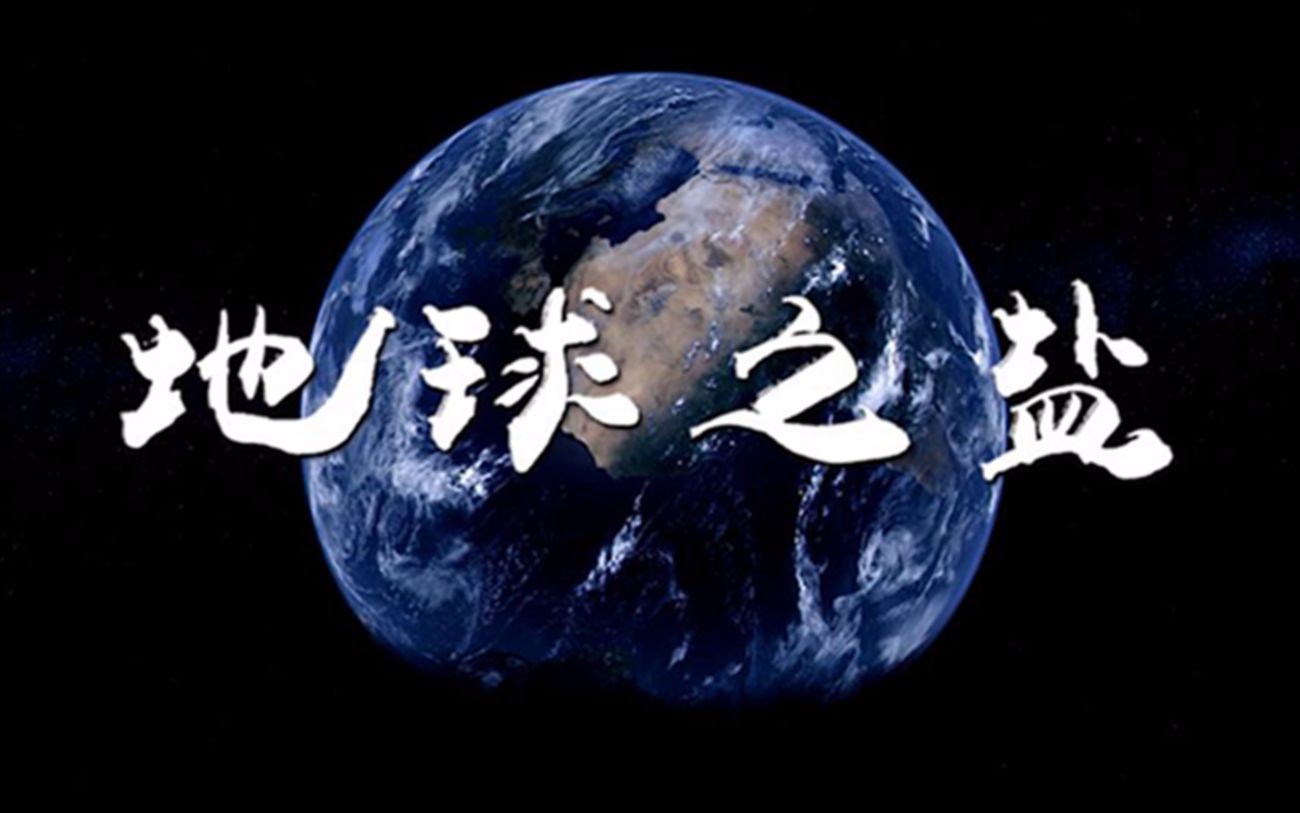 【地球之盐】×【纪录片】一首写给人类的歌，一封写给地球的情书