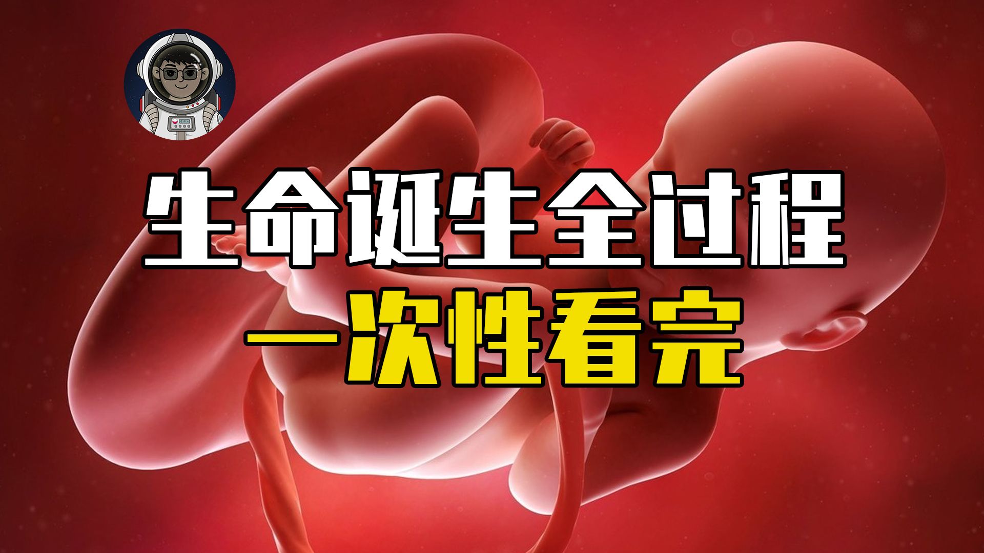 生命诞生全过程有多神奇，你是如何从小蝌蚪变成人的