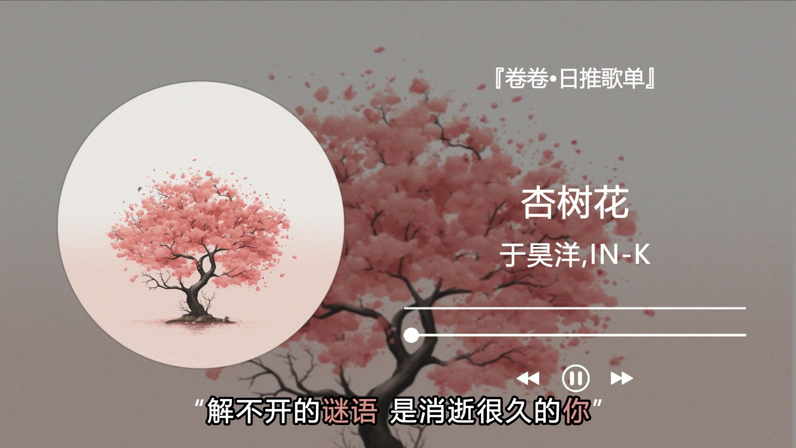 “解不开的谜语 是消逝很久的你”杏树花