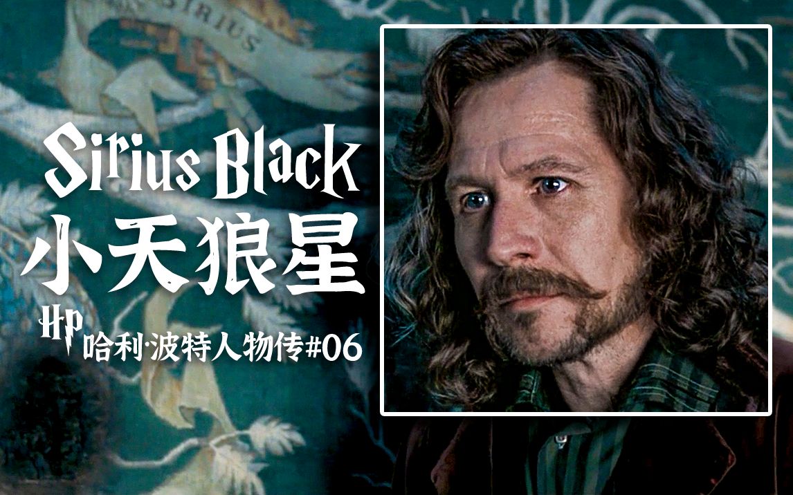 【哈利波特人物传6】细读哈利波特教父小天狼星的至暗半生