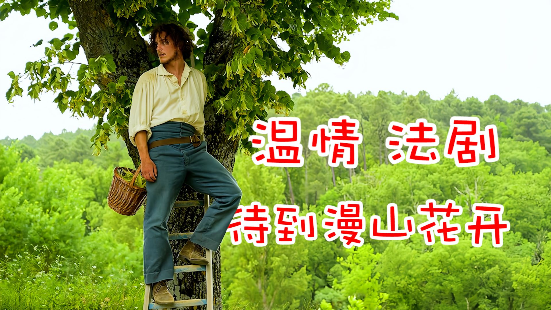【一口气看完】法国温情历史剧《待到漫山花开》全集解说