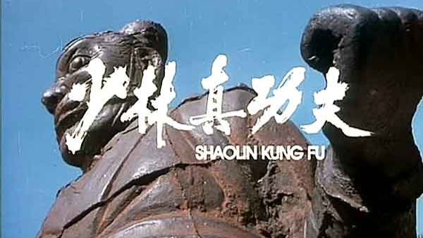 少林真功夫 (1994)