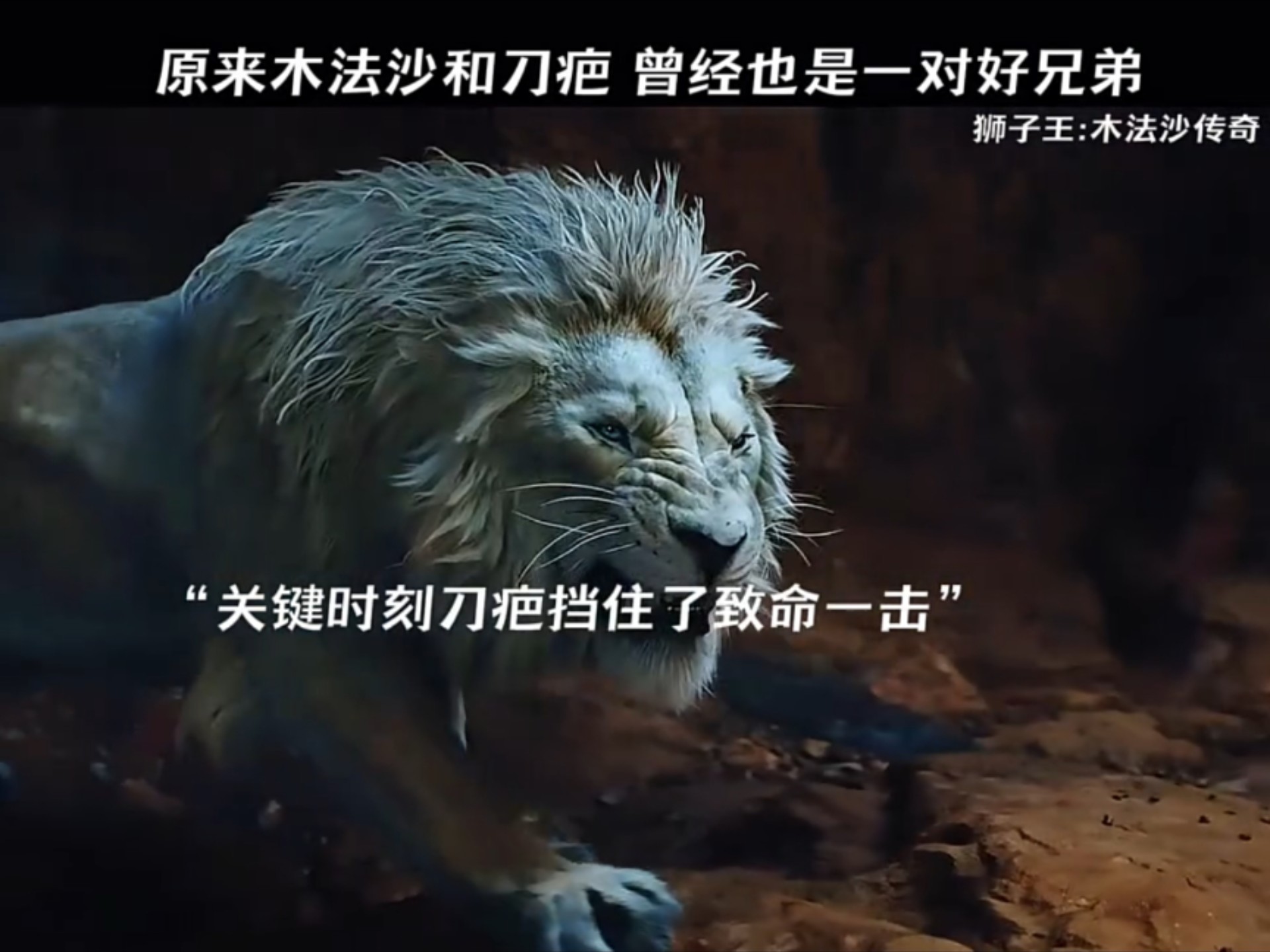 这只白狮子和山君谁更强？