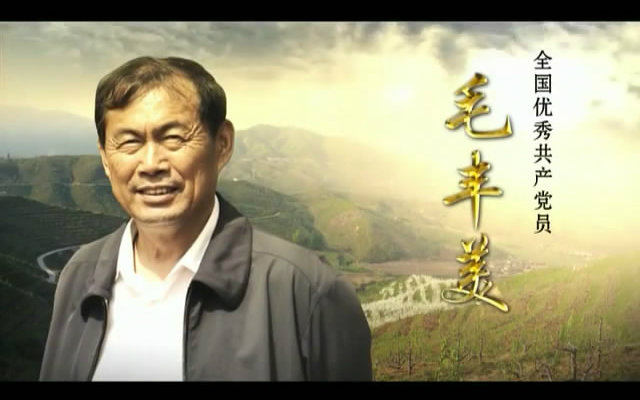 【全国优秀共产党员毛丰美】第一集：忠诚