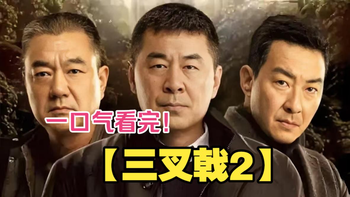 一口气看完【三叉戟 2】老炮刑警再度集结，硬核侦破青山会特大诈骗案