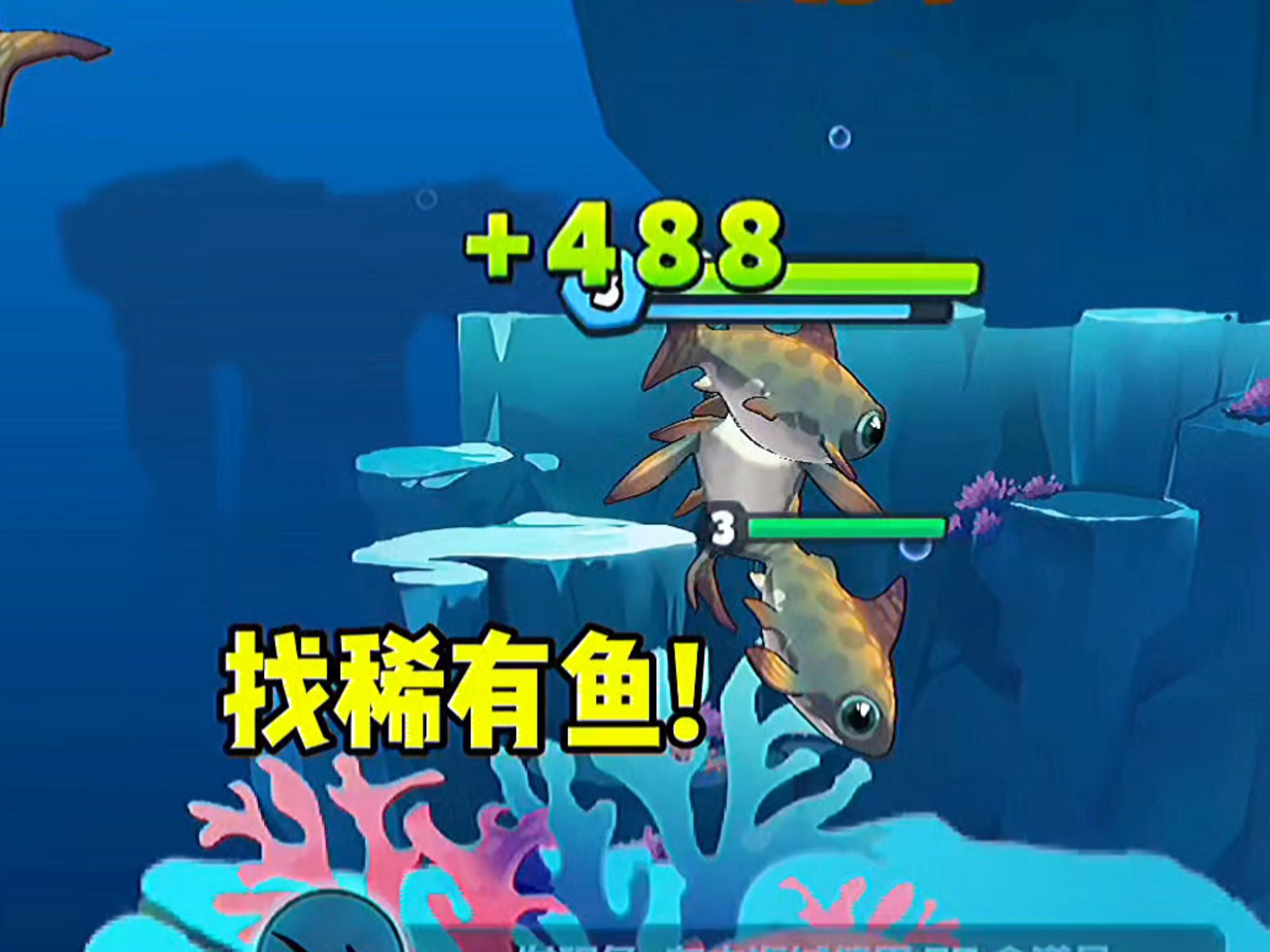 关于第八海域虎鲨，我有话要说