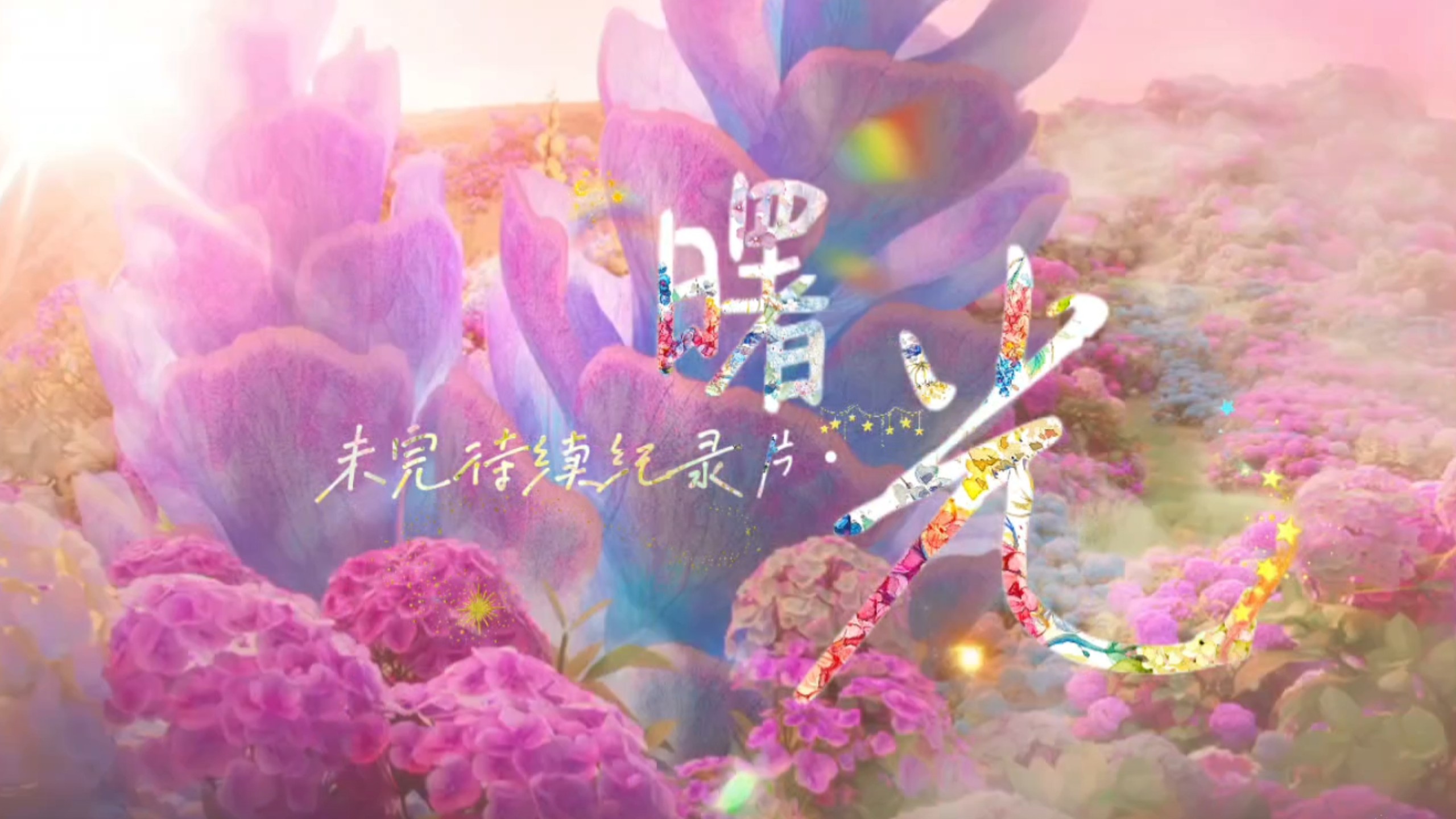 未完待续纪录片·「曙光」