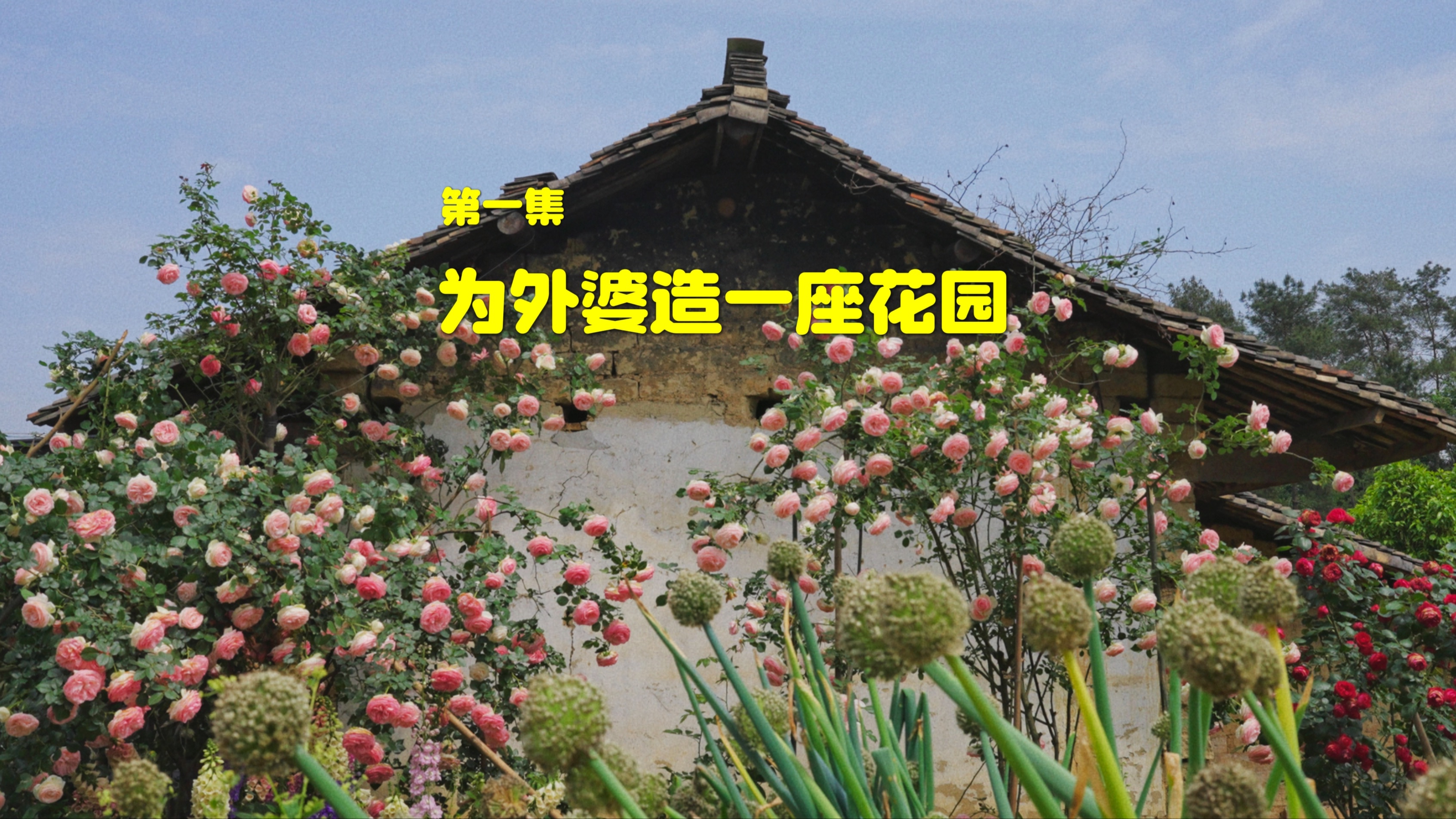 【第1集】小多和外婆的花园