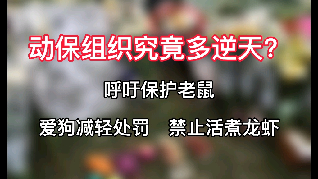 呼吁保护老鼠，爱狗减轻处罚，禁止活煮龙虾，动保组织究竟多逆天