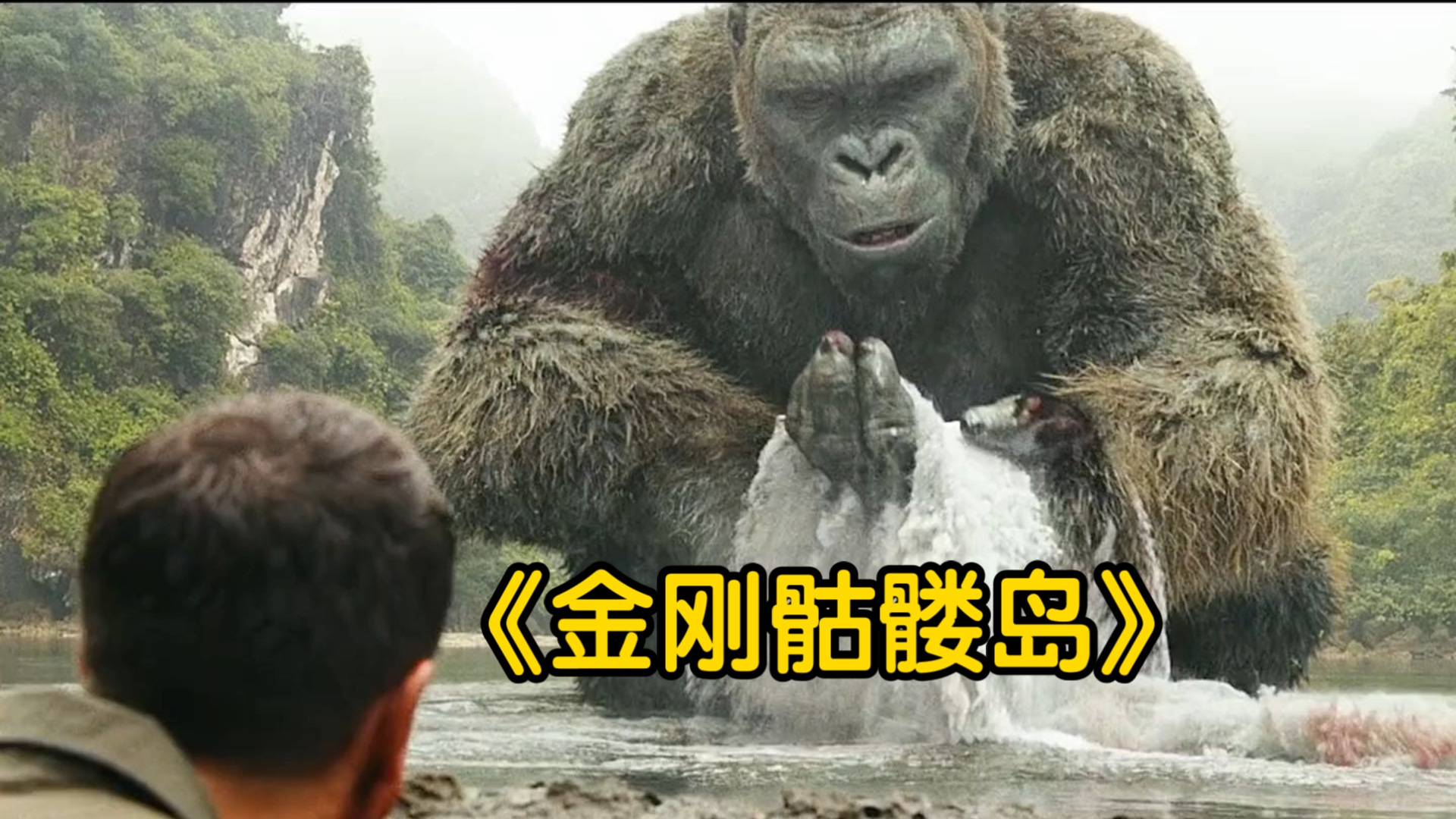 一口气看完《金刚骷髅岛》