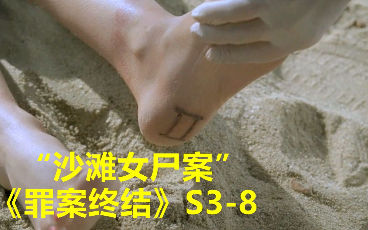 海边沙滩接连冲上多名女尸，脚底纹有神秘数字难倒警方！《罪案终结》第三季第8集