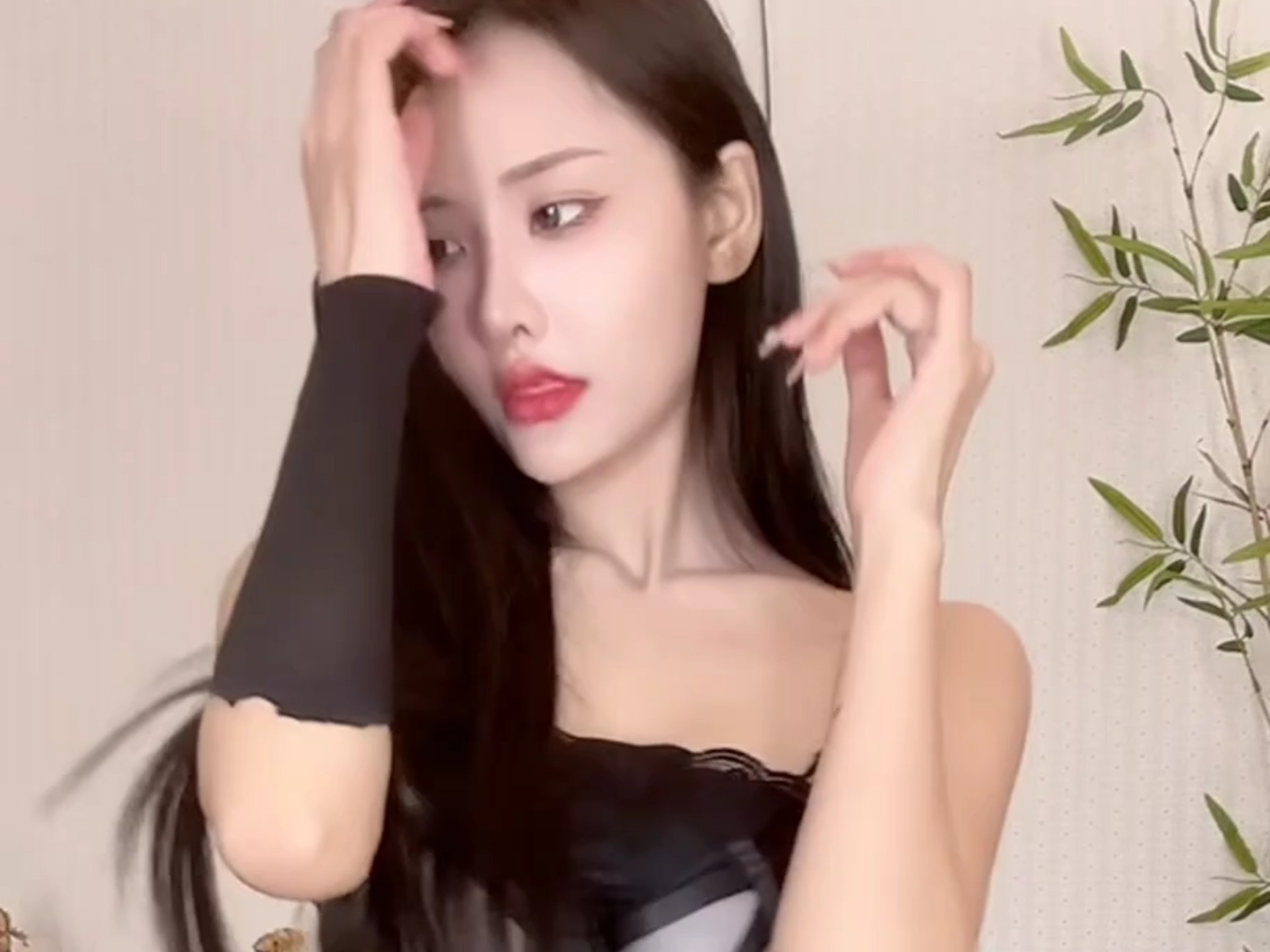 巴拉豆
