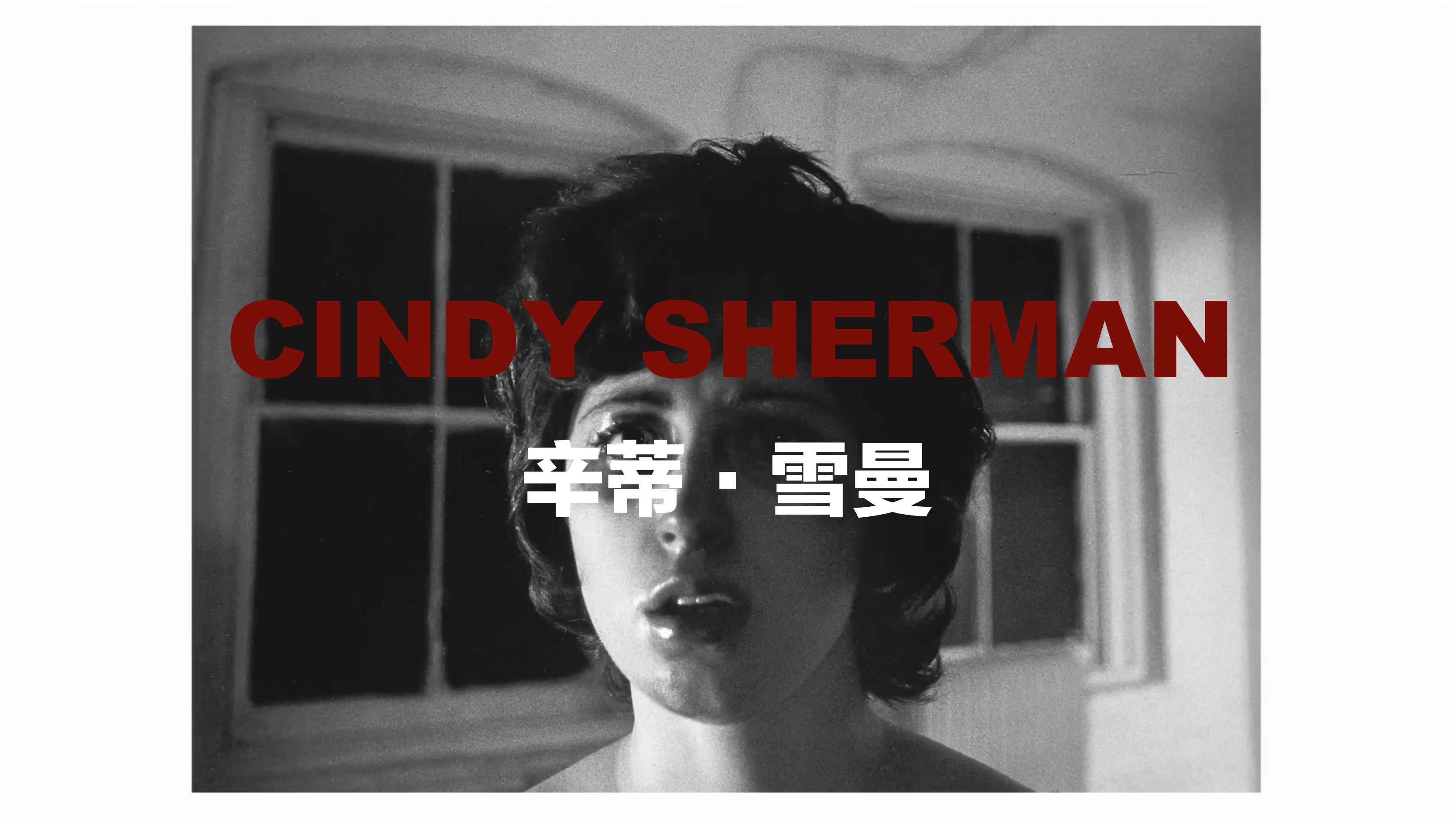 Cindy Sherman辛蒂·雪曼/行为艺术/肖像/恐怖/奇艺/摄影/抽象