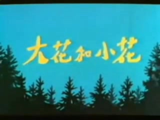 上海美术电影制片厂 1985年 大花与小花