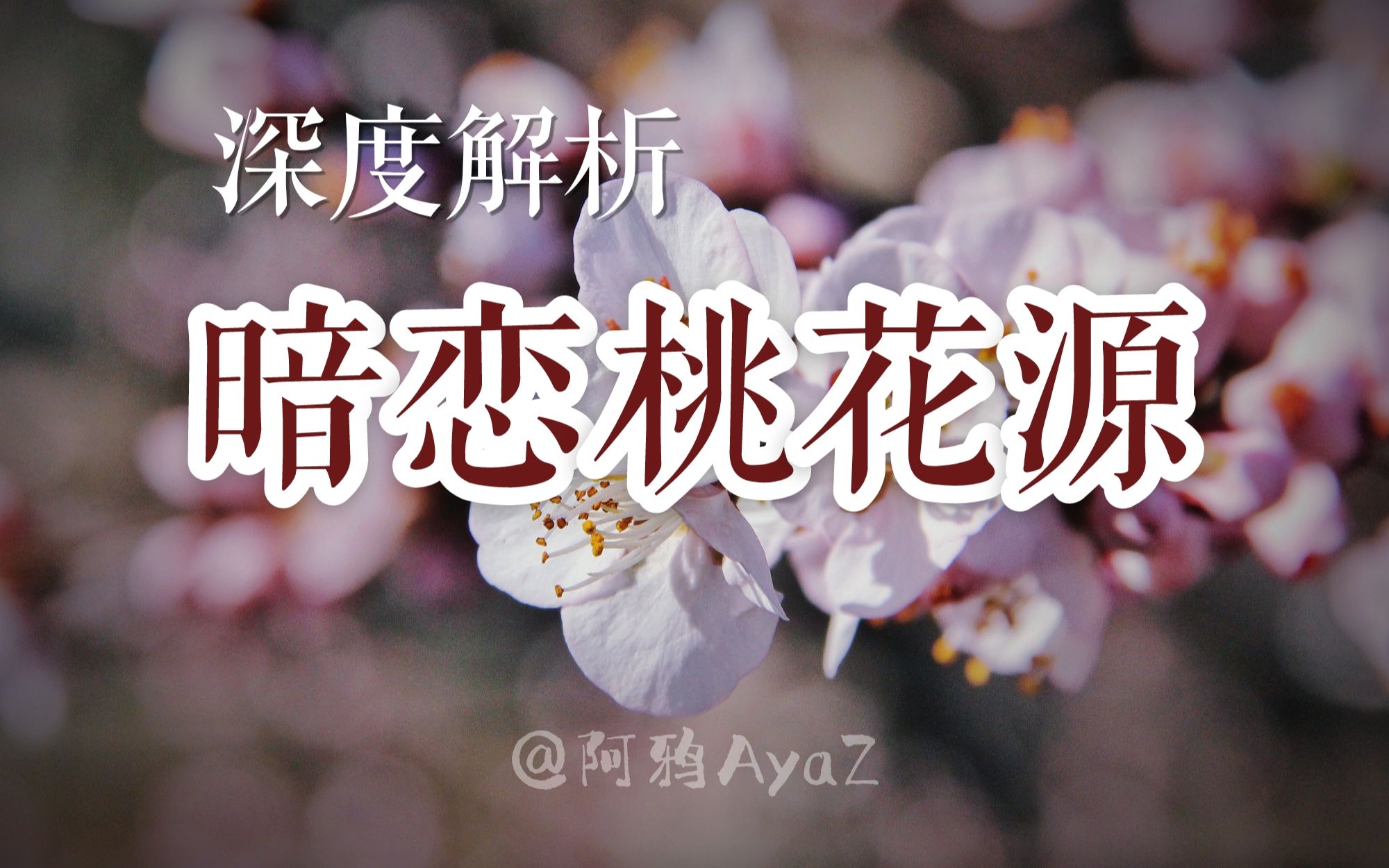 万字长评｜深度解读《暗恋桃花源》：桃花源篇
