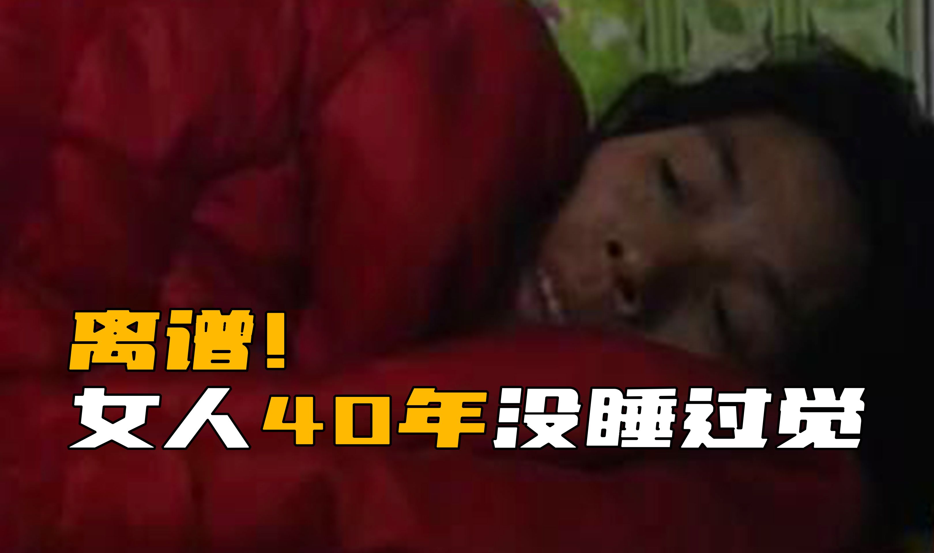 《走近科学》离谱！女人竟然40年没睡过觉，每天精力还相当旺盛！
