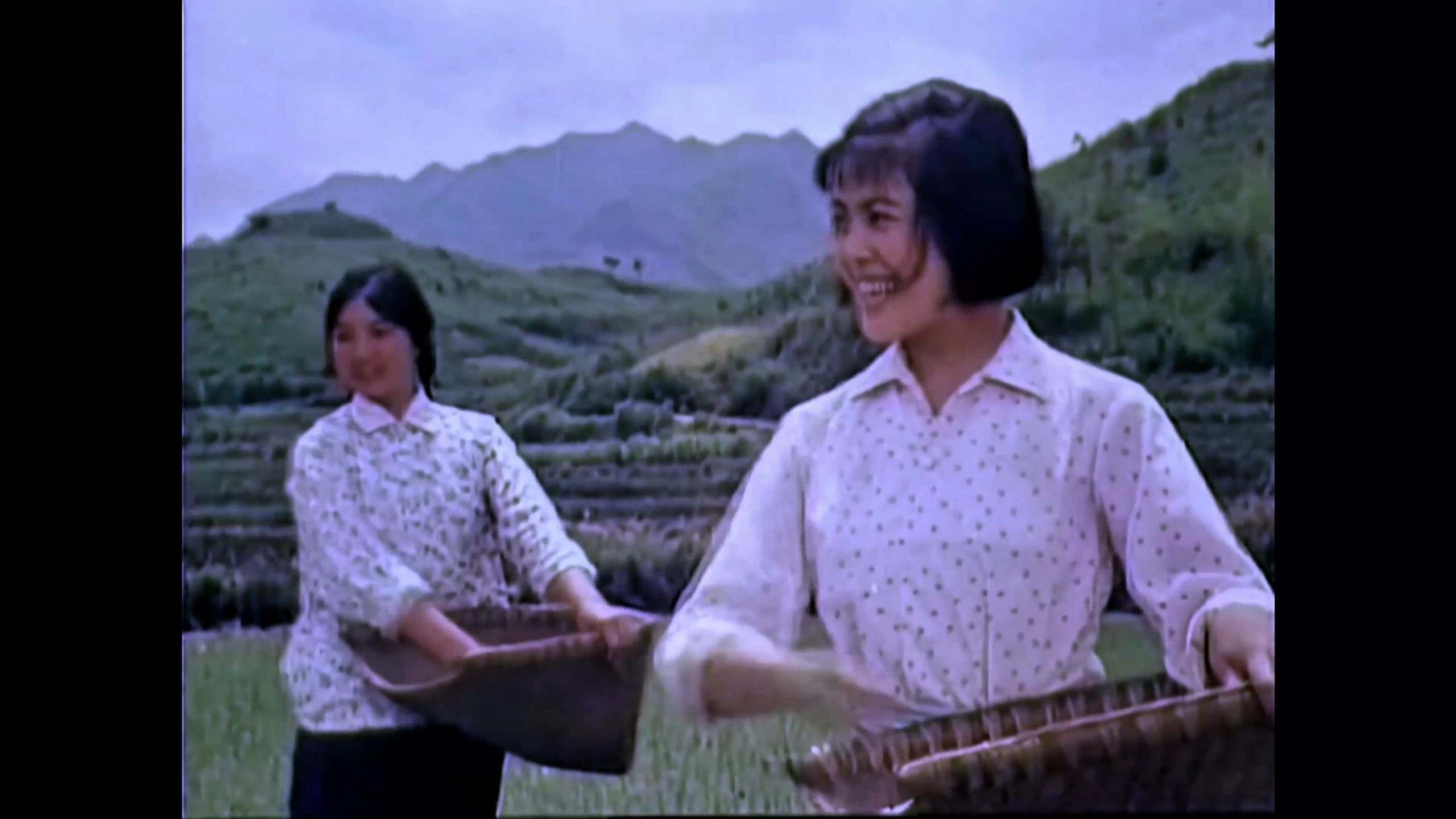 柳暗花明(1979年)