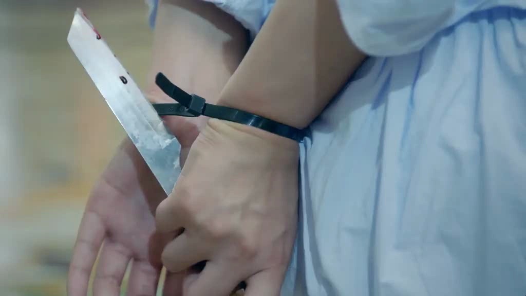 来自海洋的你
