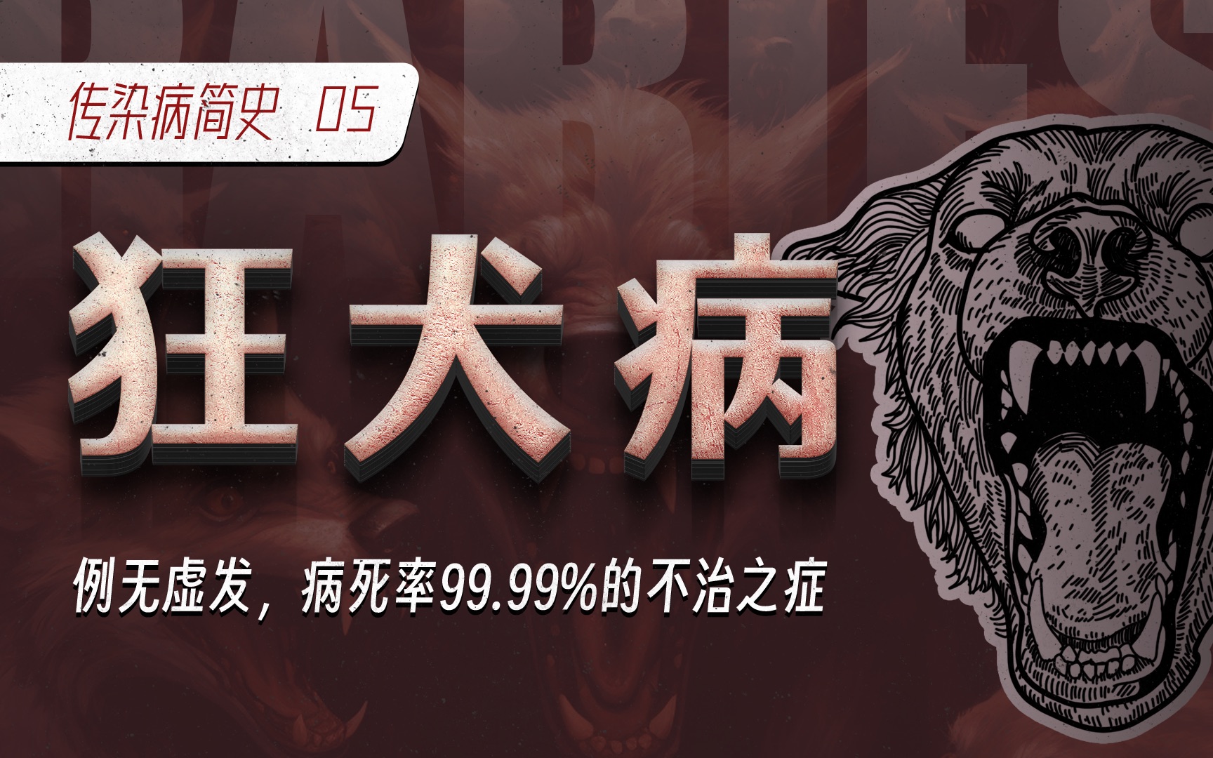 【传染病简史5】狂犬病：例无虚发，病死率99.99%的不治之症