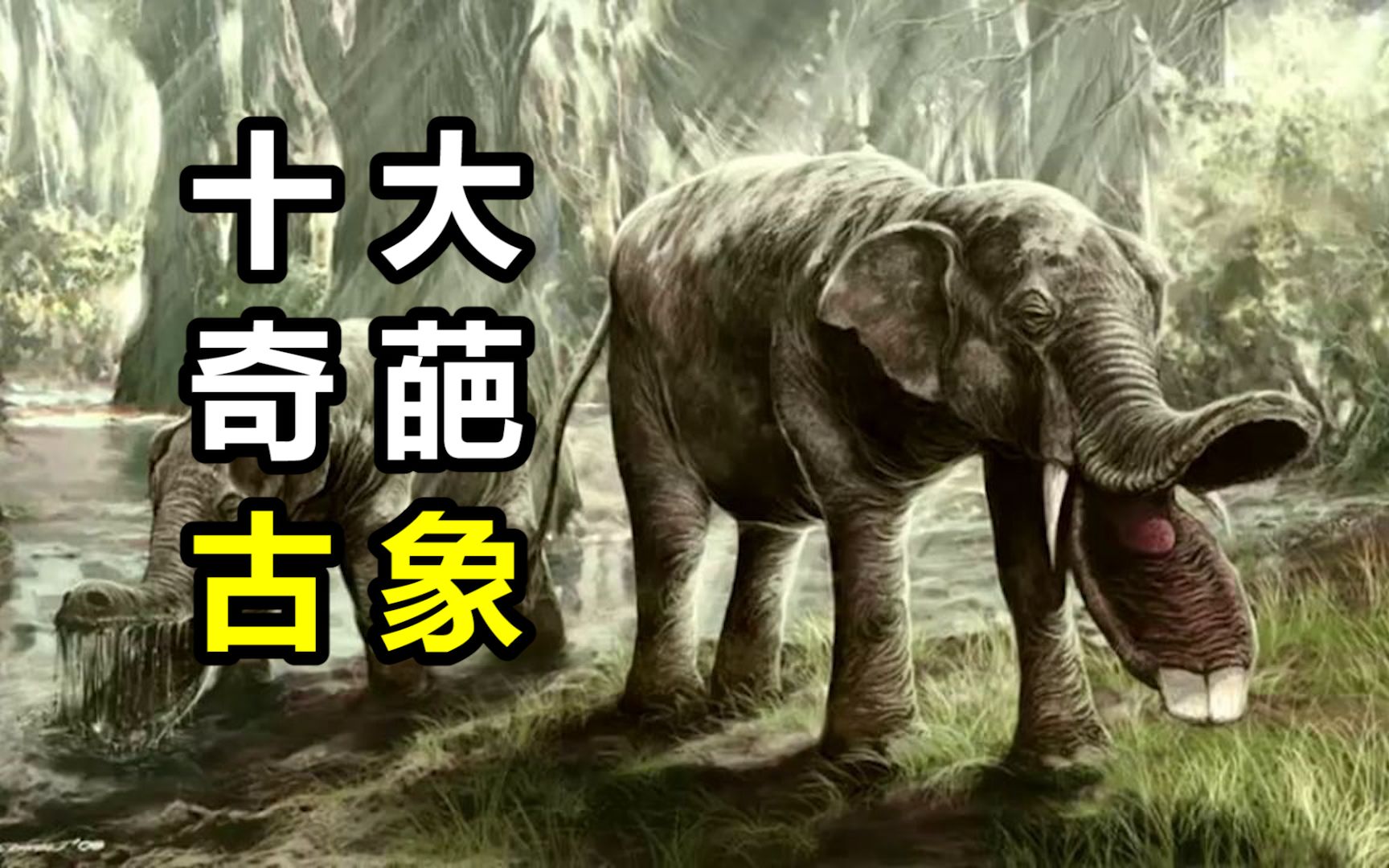 大象曾有四根象牙？大象差点进化成河马？最长的象牙有多长？