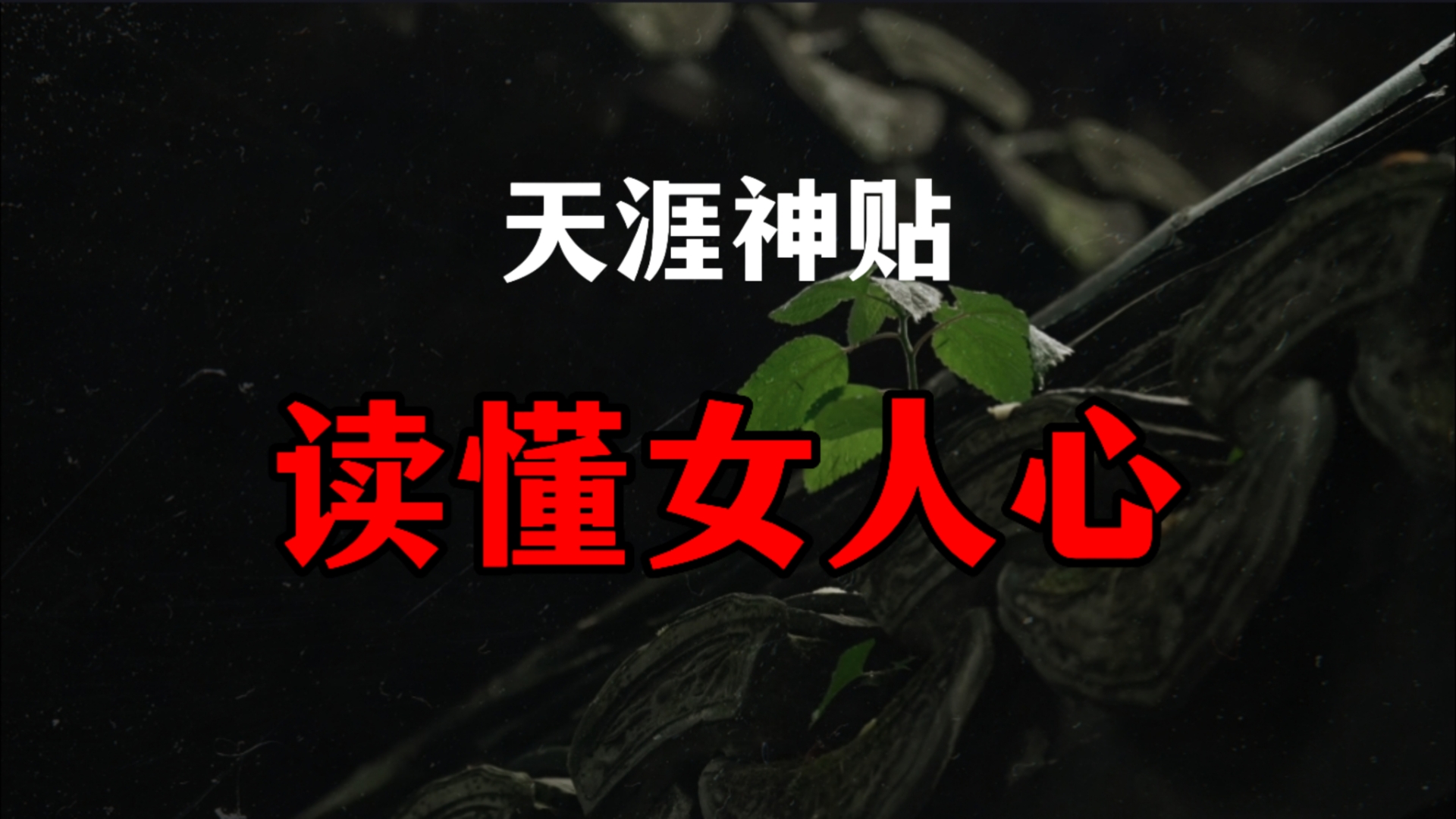 【天涯神贴】如何读懂女人心——男人必看!