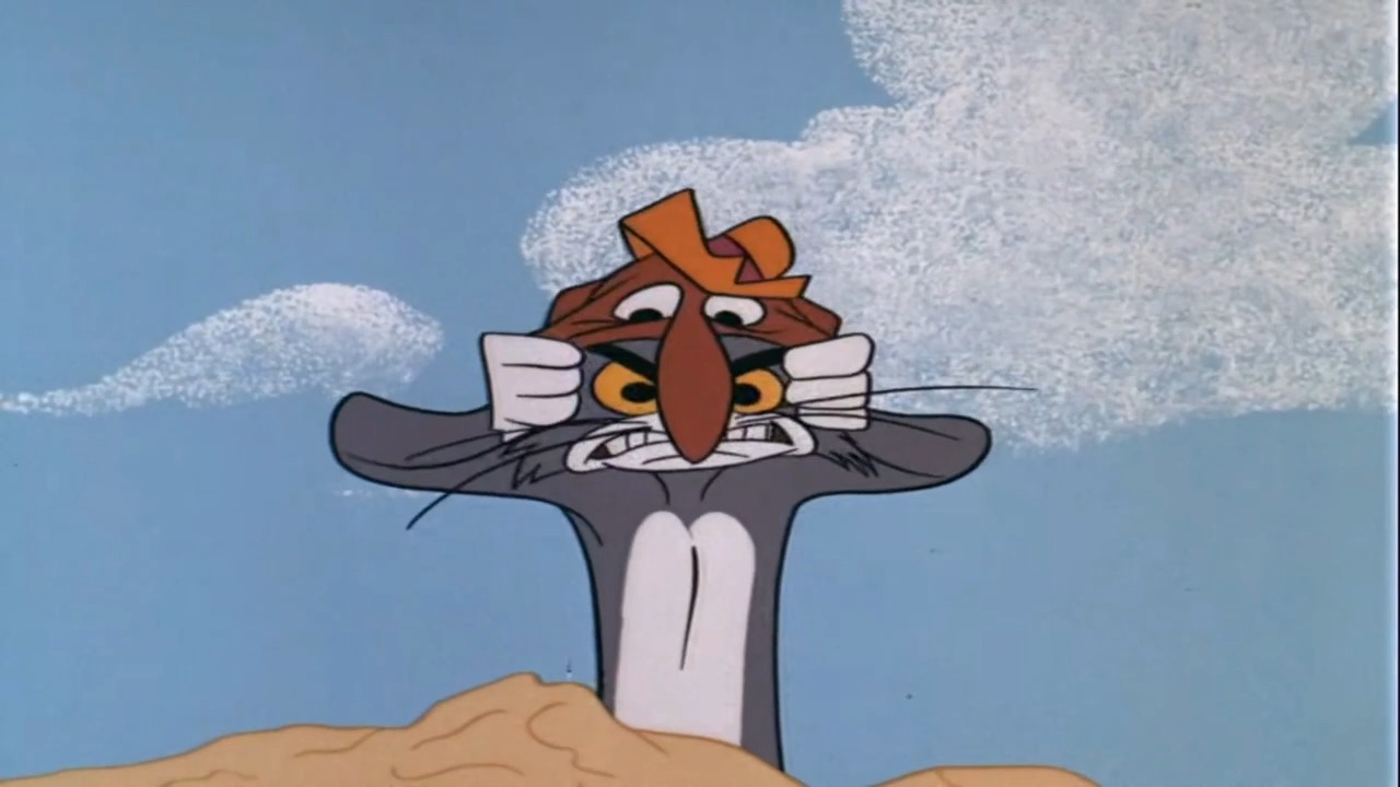 Surf-Bored Cat