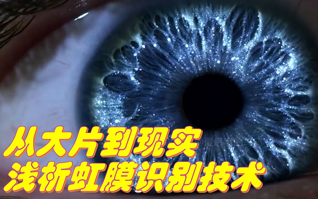 从大片到现实---浅析虹膜识别技术