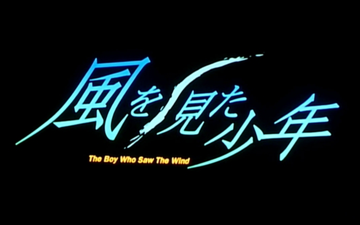 看见风的少年 The Boy Who Saw The Wind 2000【字幕】