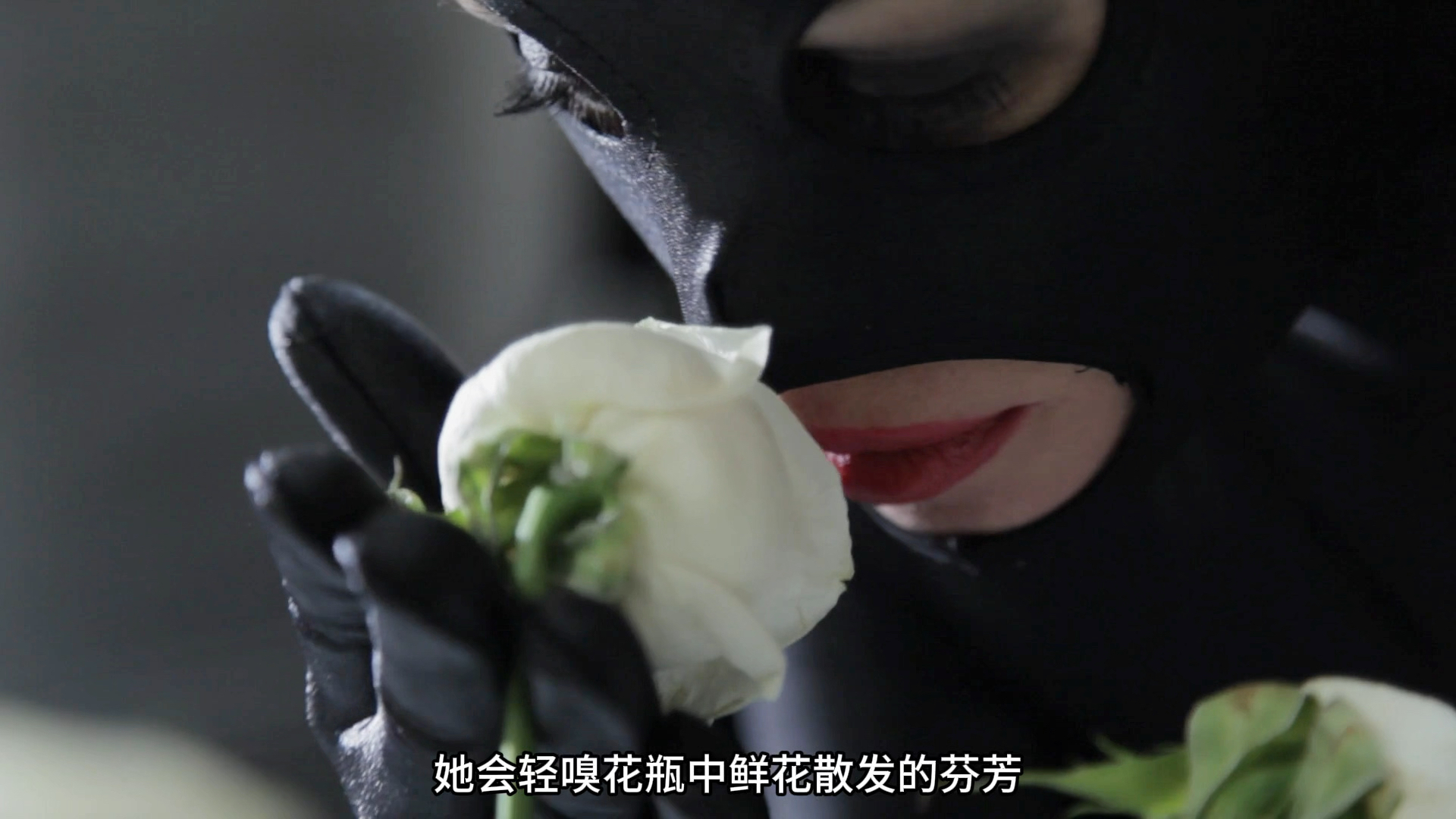 一个有品位的女盗贼