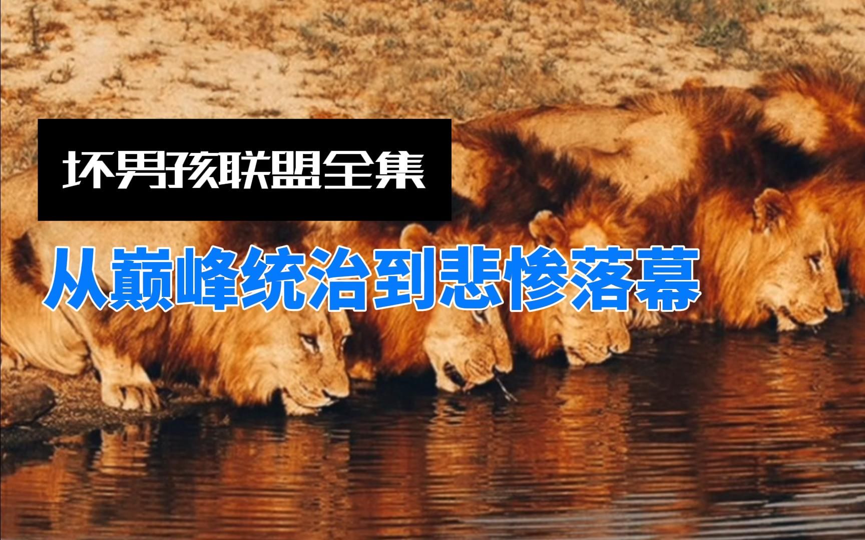 坏男孩联盟全集：一口气看完坏男孩联盟从巅峰统治到悲惨落幕！