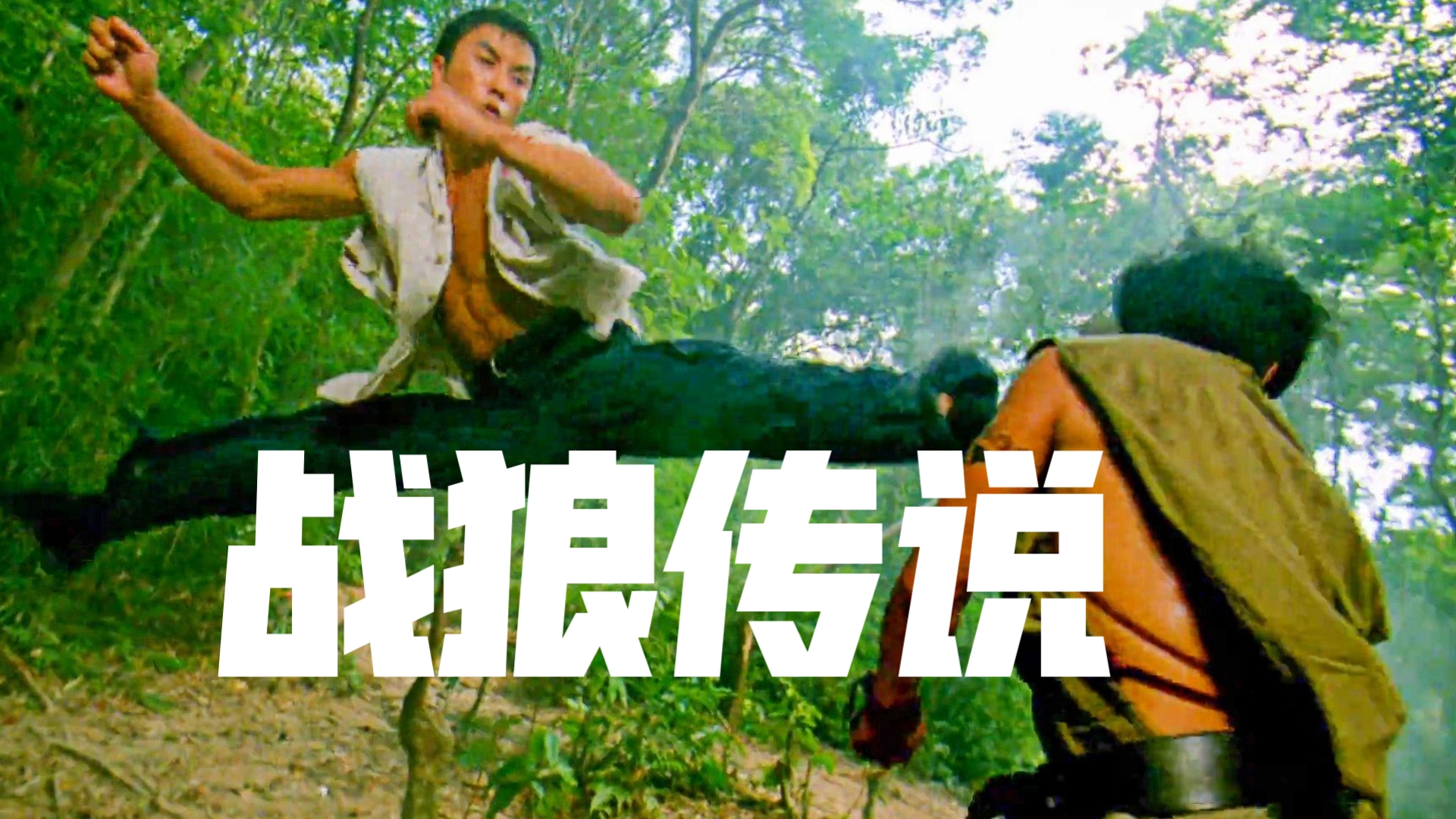 战狼传说（动作片）超清