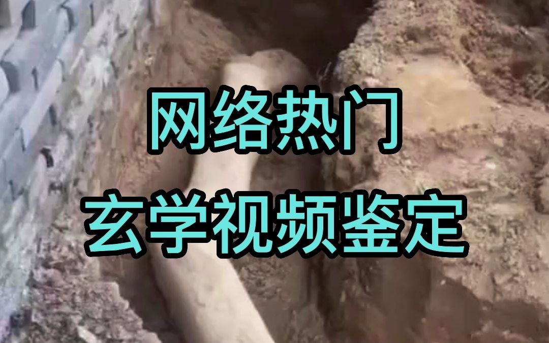 鉴定网络热门玄学视频：树根与龙脉