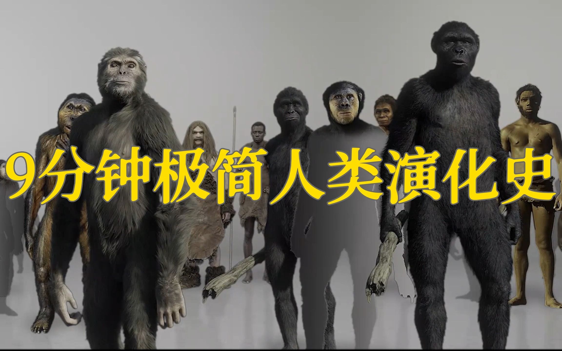 人类演化史诗！超燃影视化剪辑，献给人类所有的祖先。