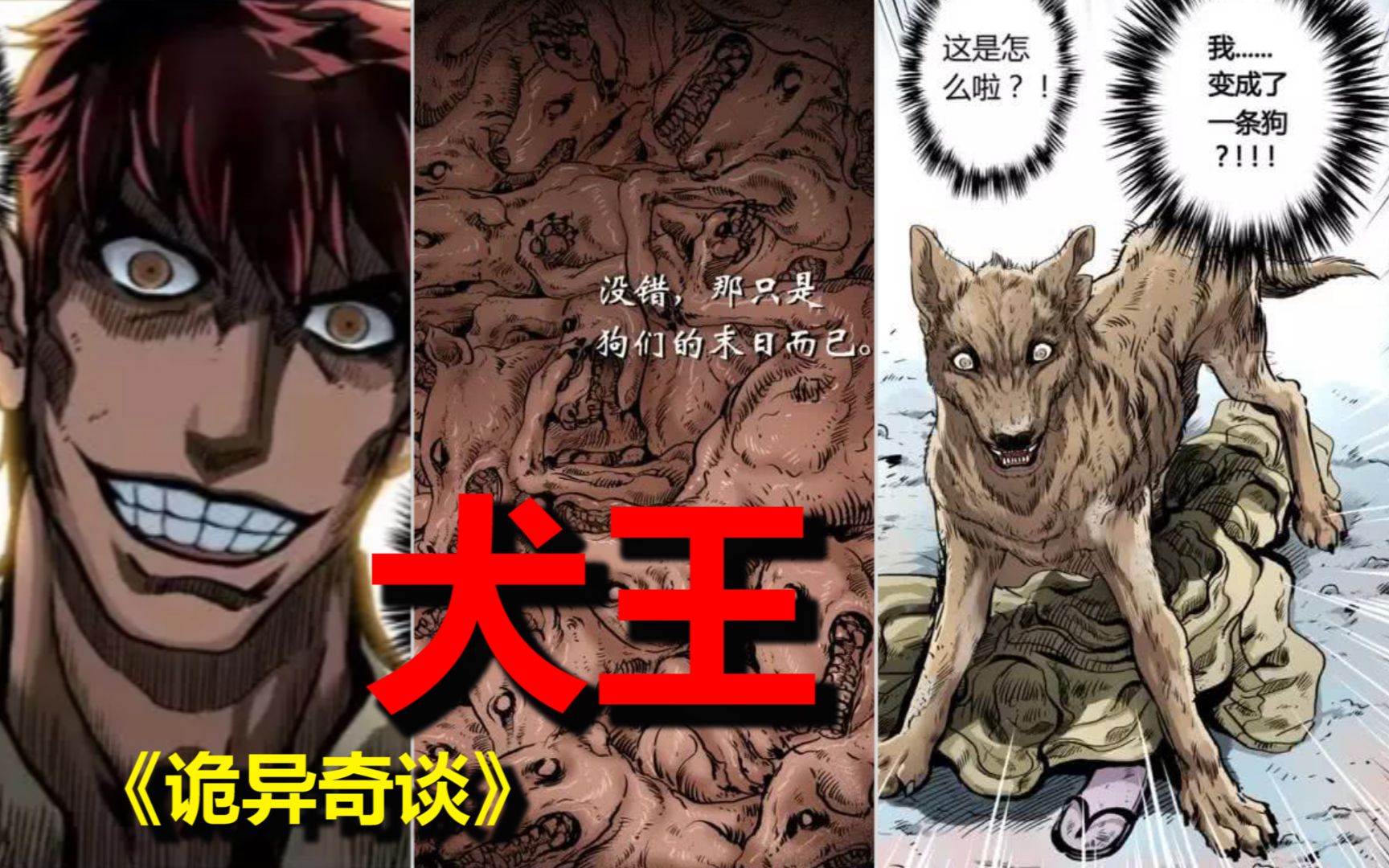 【老鸽】啊啊啊啊啊！救命！我 变 成 狗 啦！！！