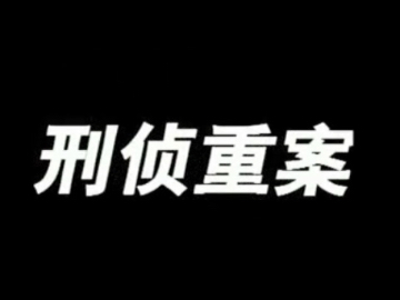 刑侦重案