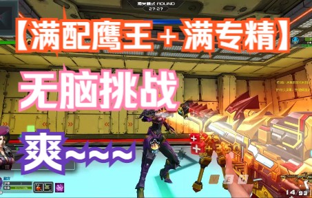 满配鹰王满专精全五星无脑过挑战！爽~~~~~