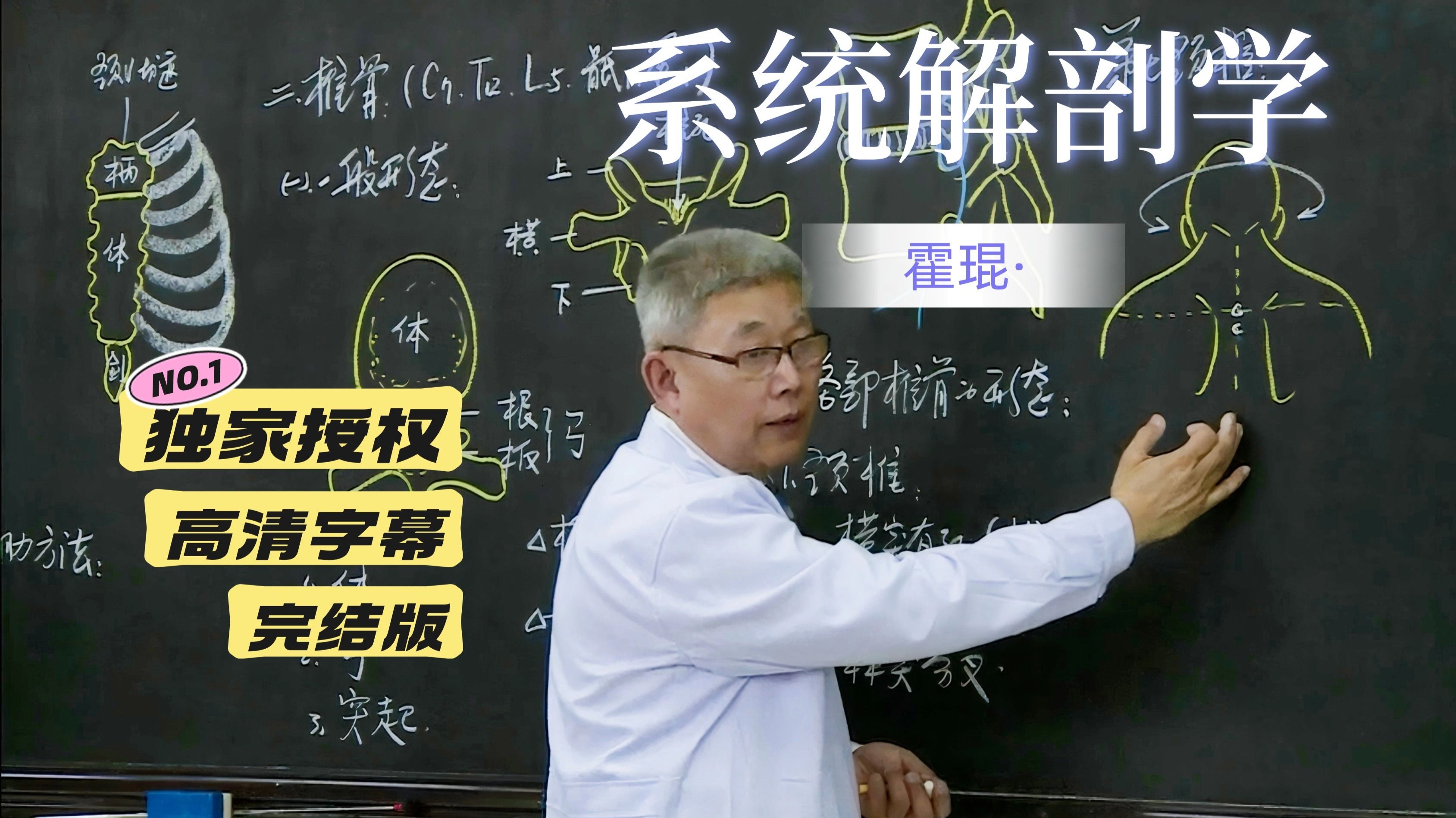 霍琨-系统解剖学-人体解剖学全集（高清字幕版）更新完结（B站独家授权）